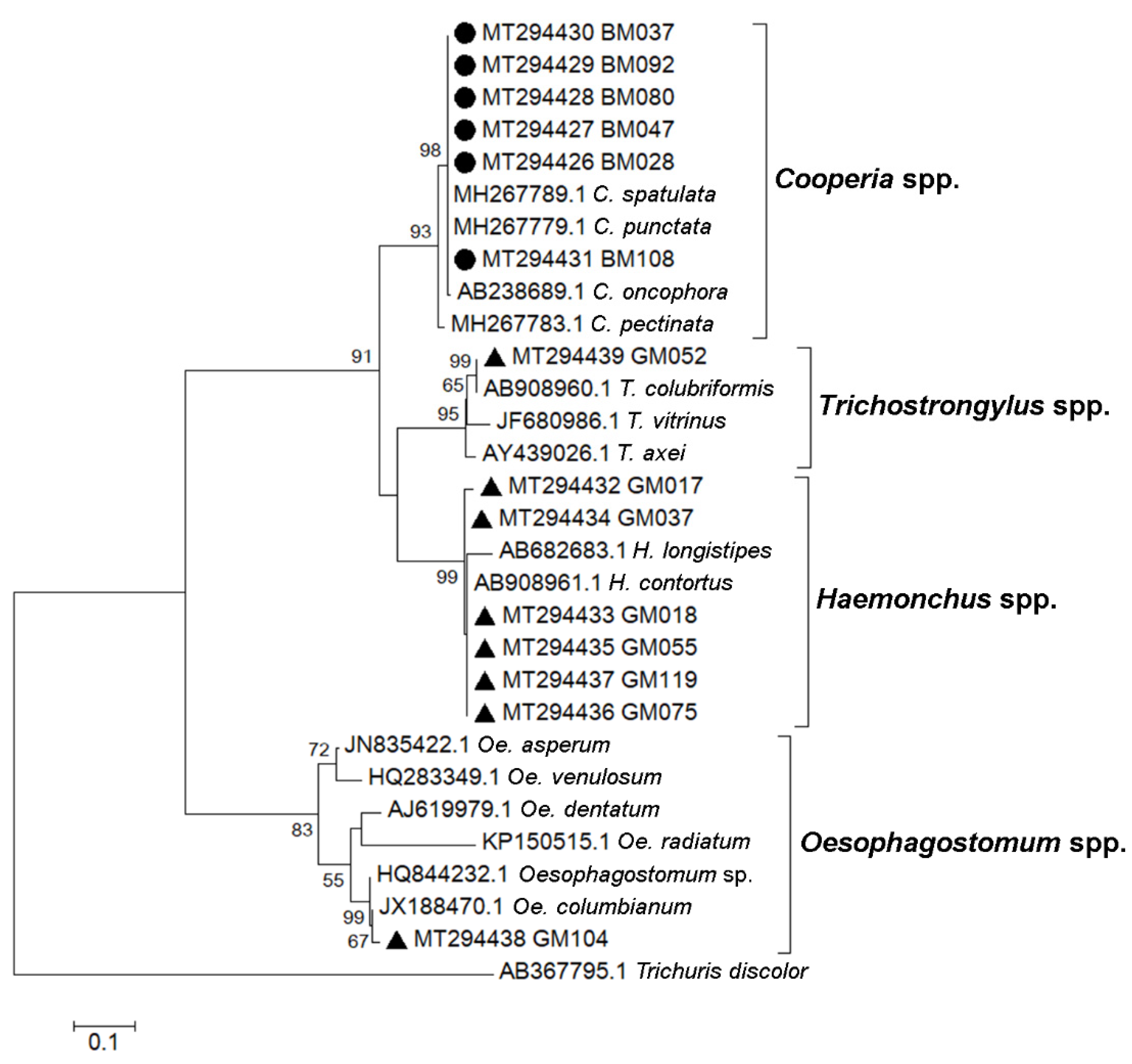 Vetsci 08 00324 g004 550