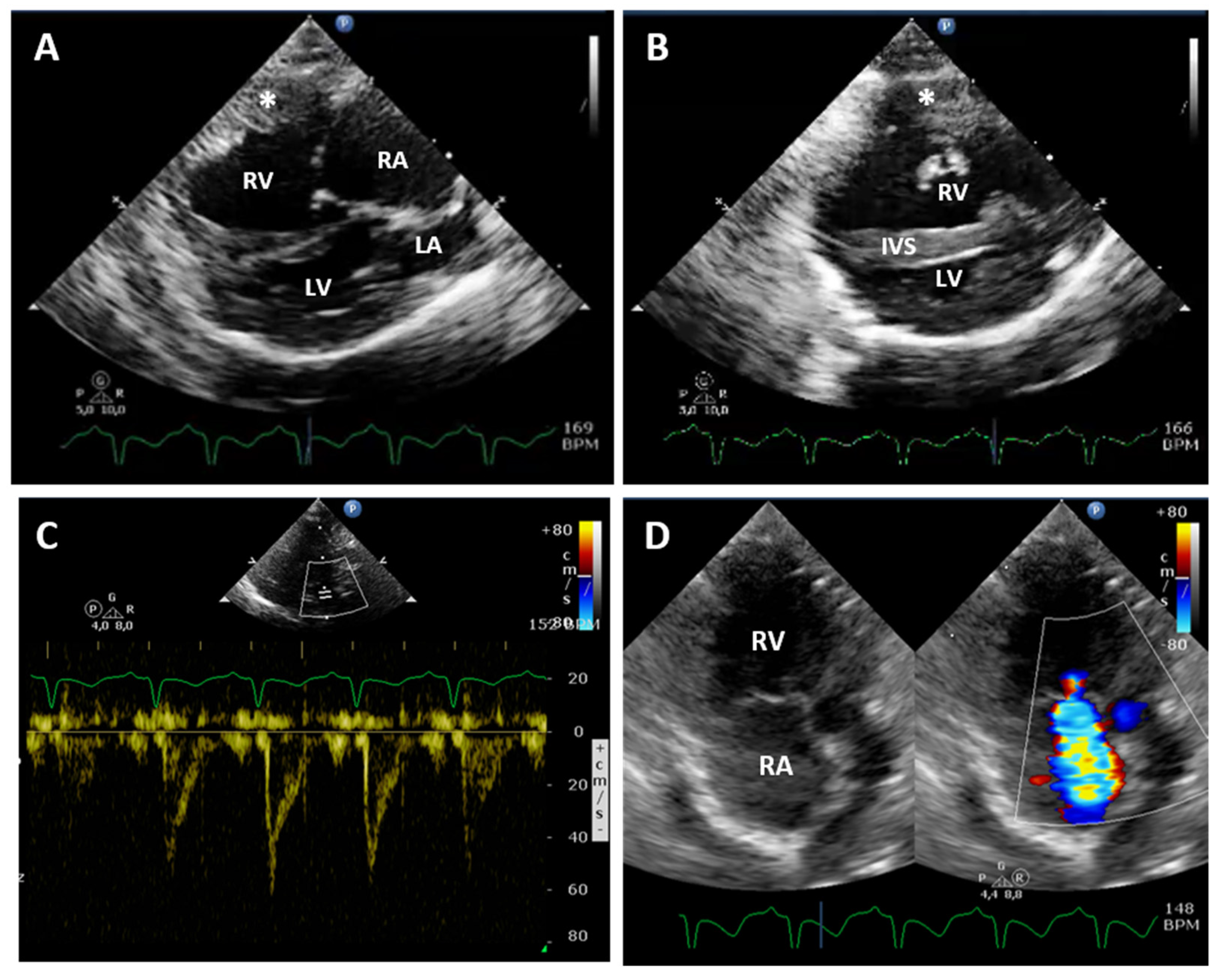 Vetsci 08 00325 g002 550