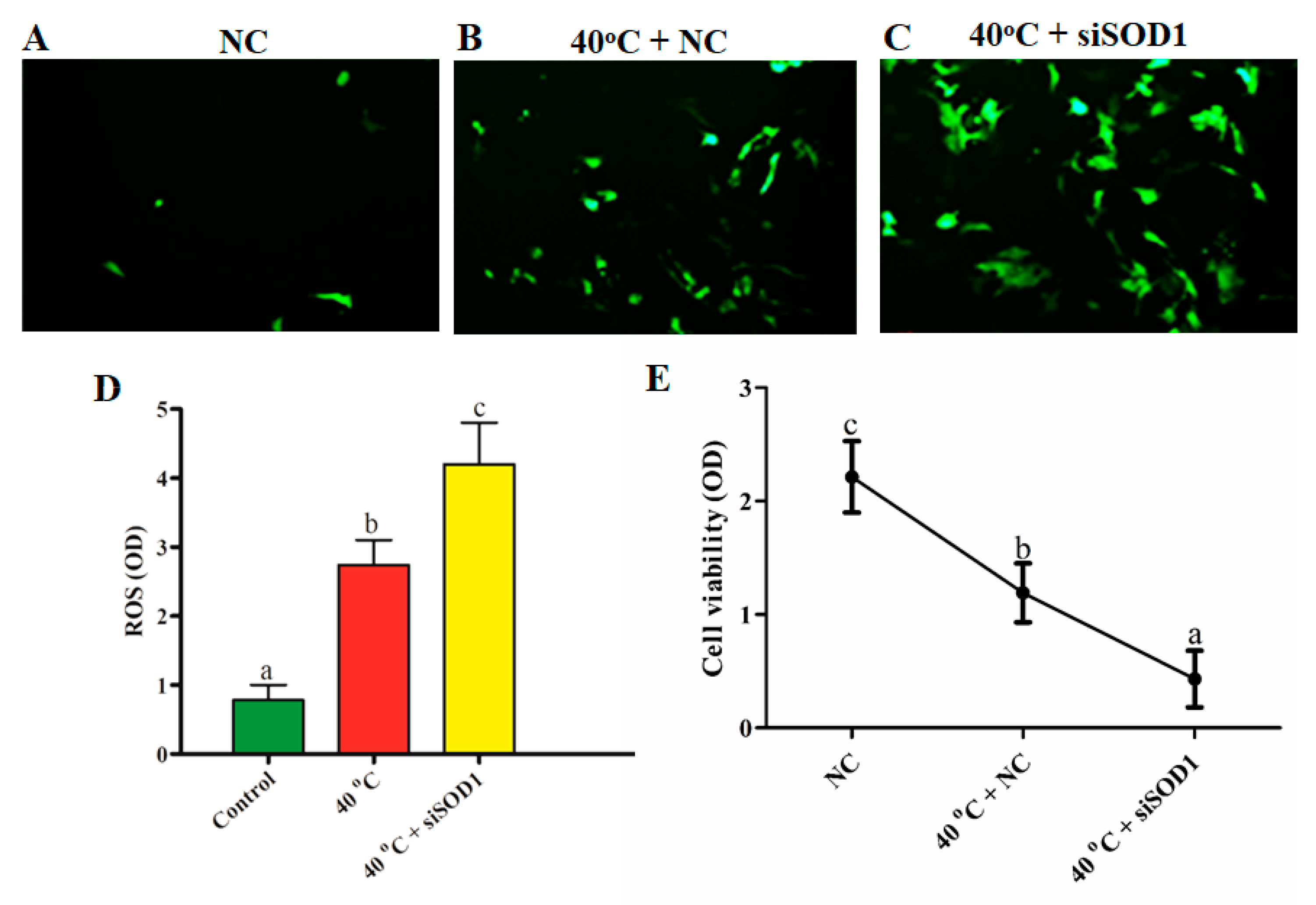 Vetsci 08 00326 g003 550
