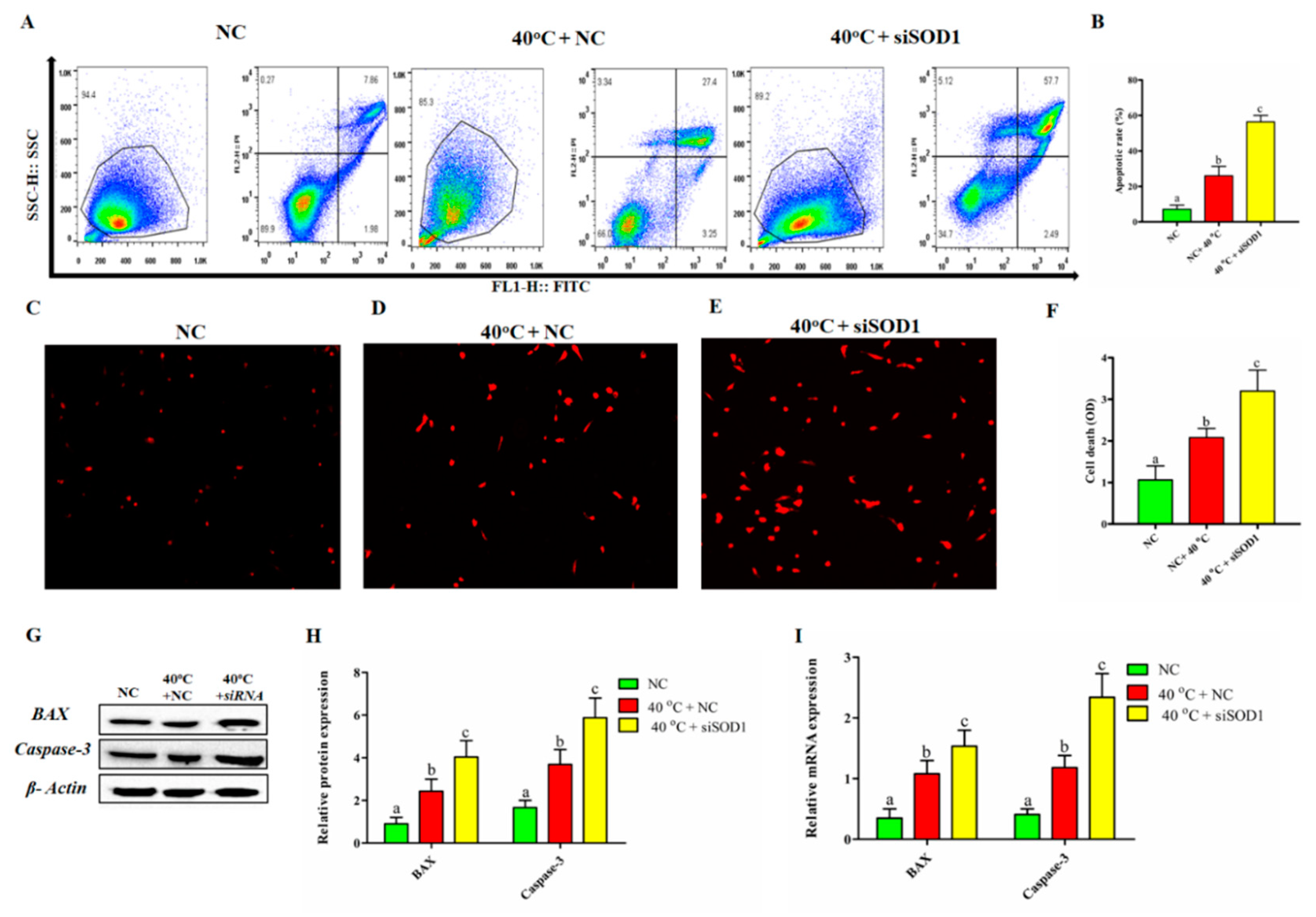 Vetsci 08 00326 g004 550