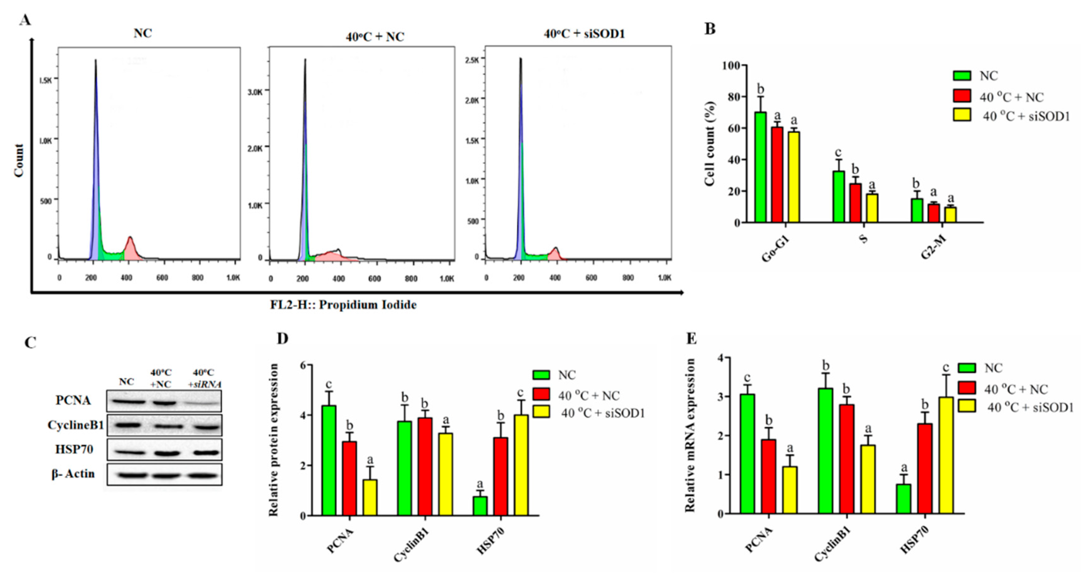 Vetsci 08 00326 g005 550