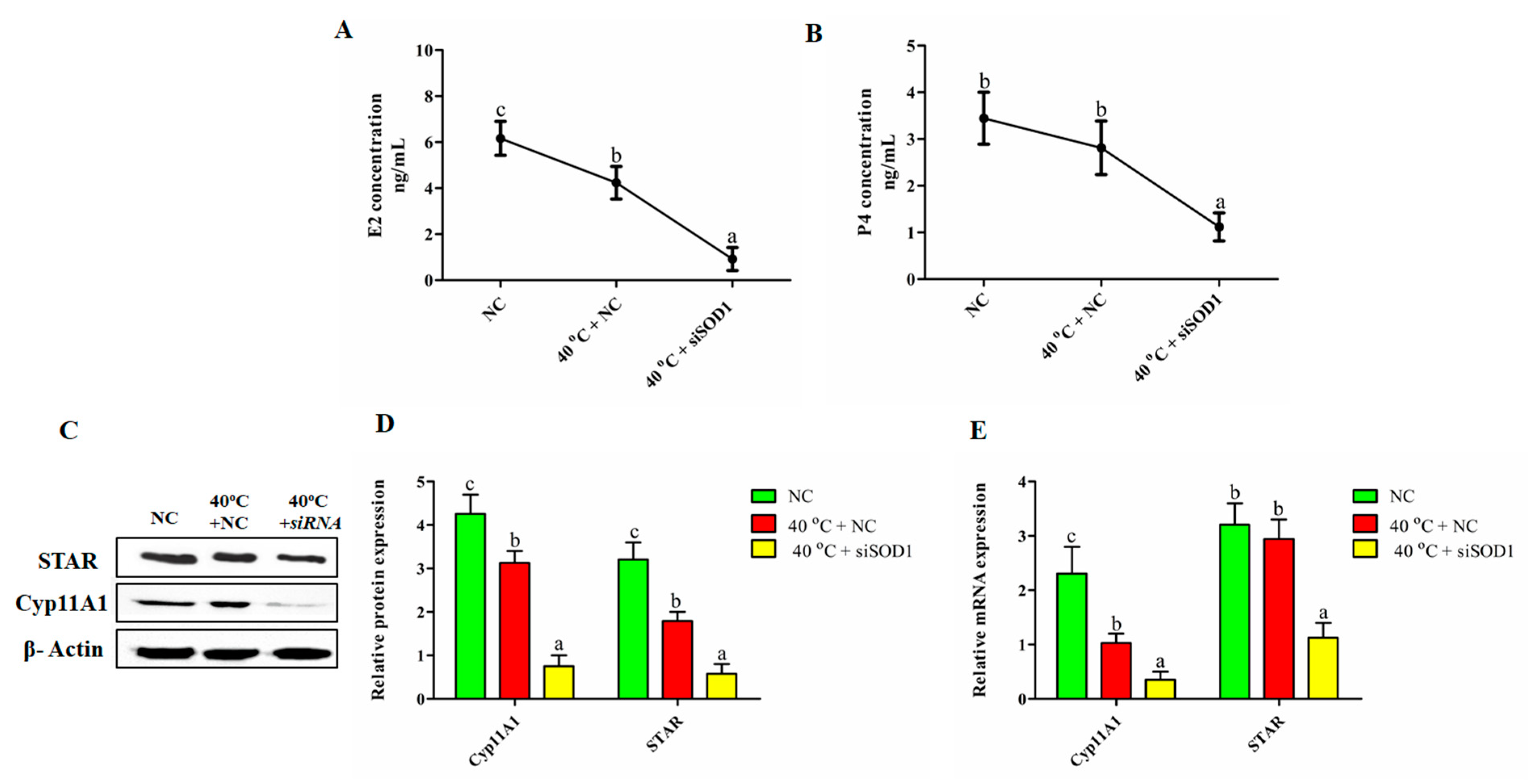 Vetsci 08 00326 g007 550
