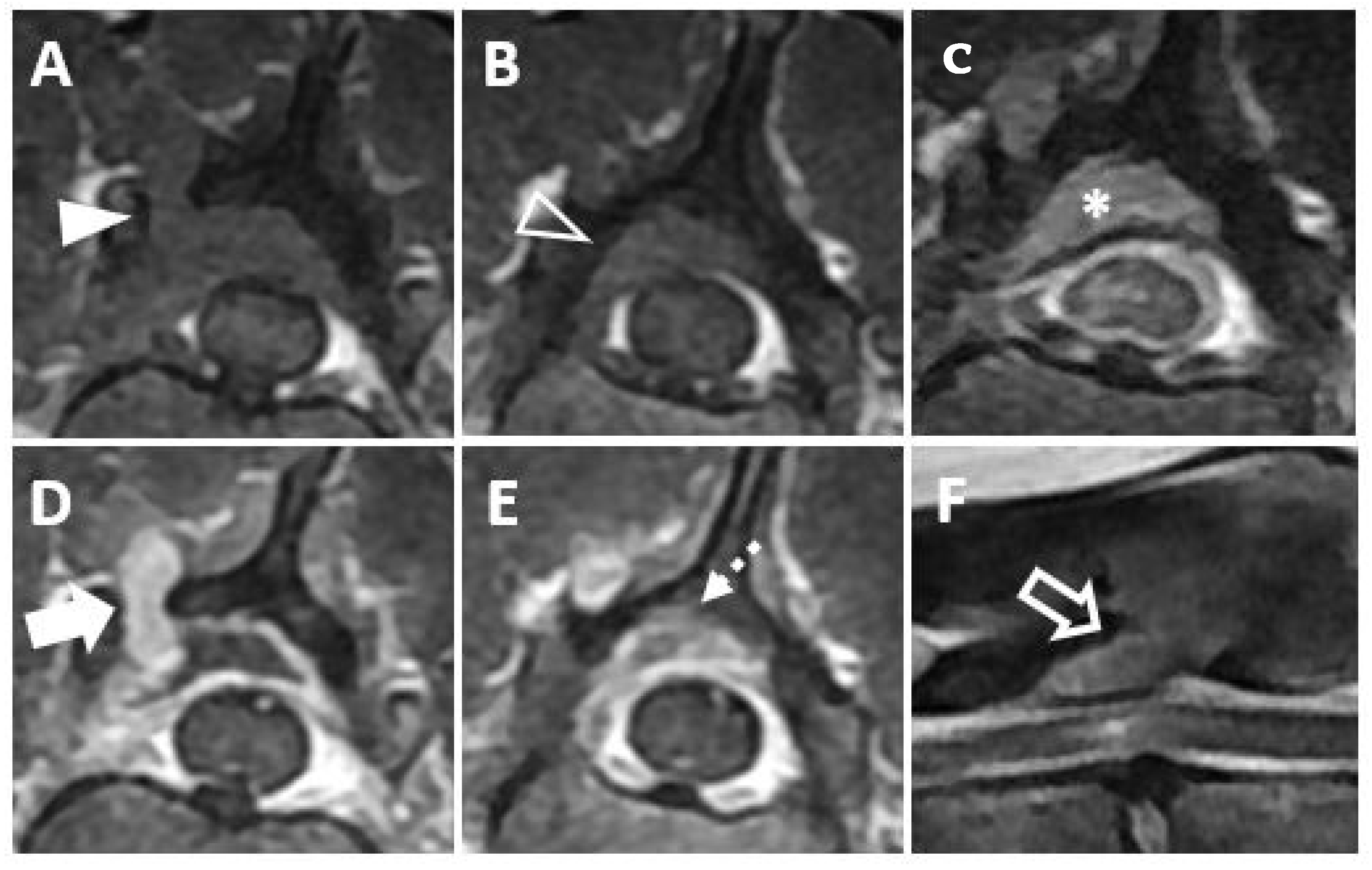 Vetsci 09 00003 g002 550
