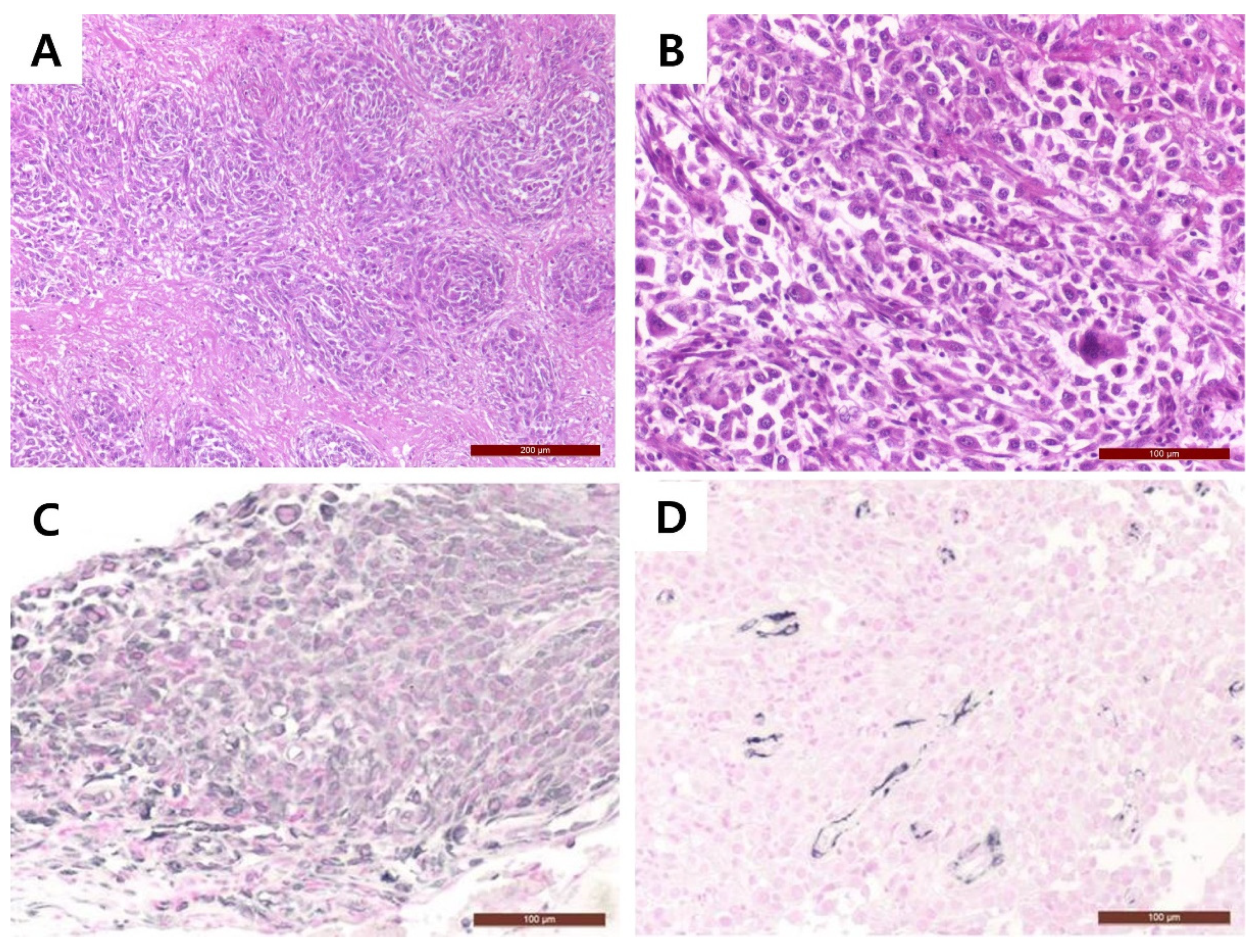 Vetsci 09 00003 g003 550