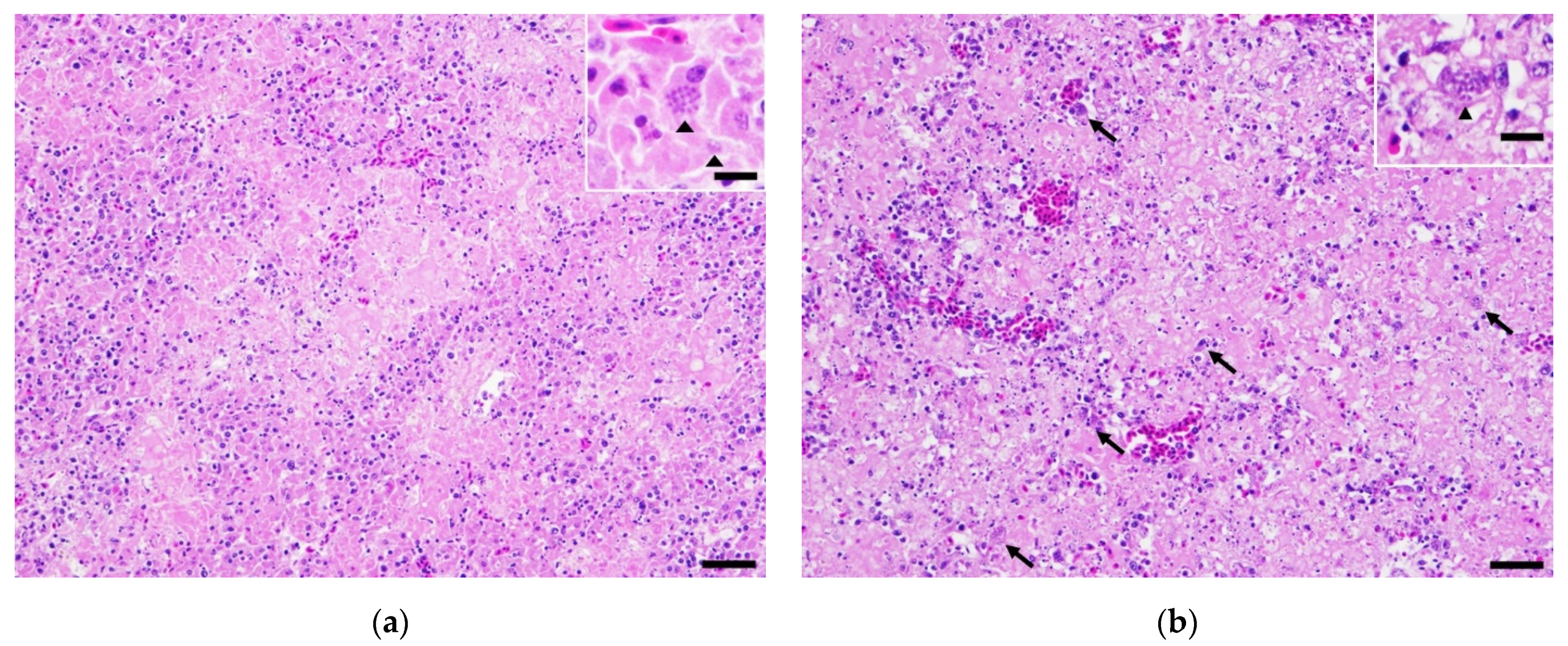 Vetsci 09 00005 g002a