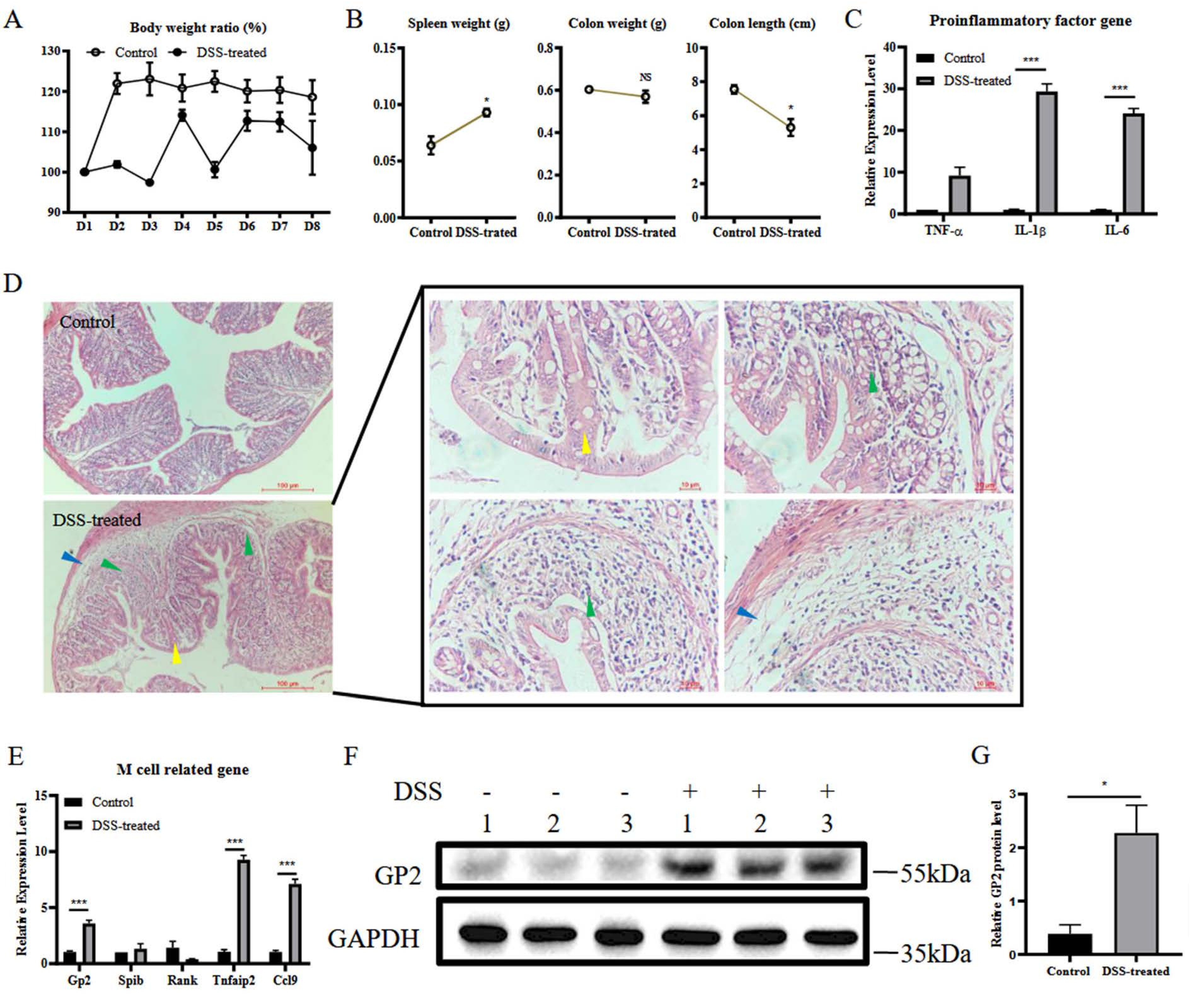 Vetsci 09 00006 g001 550