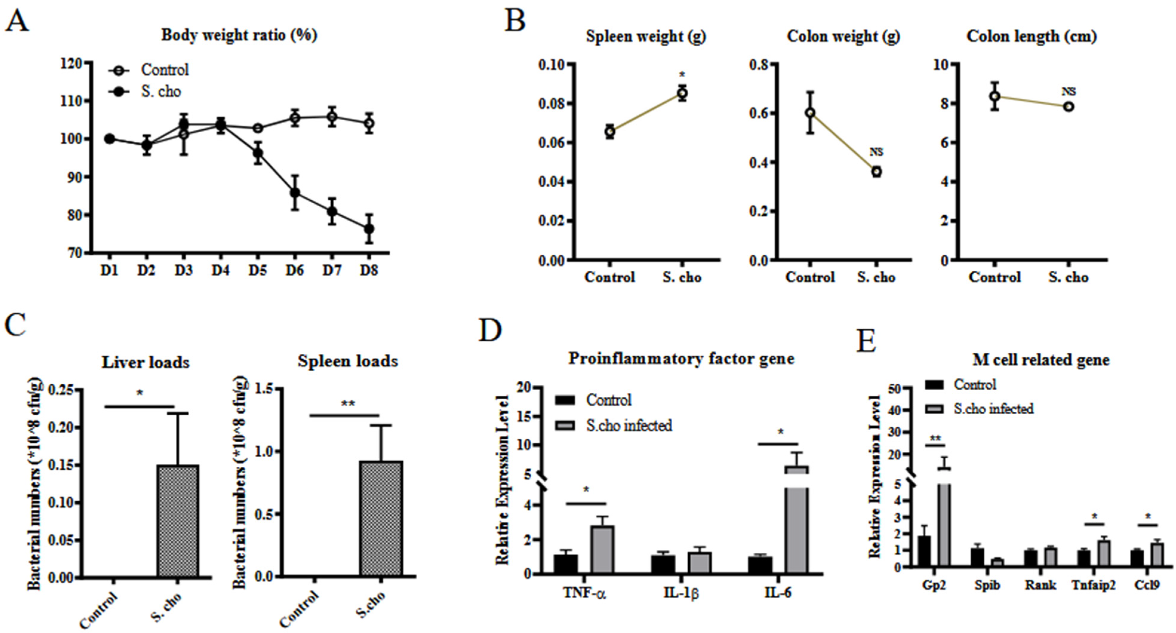 Vetsci 09 00006 g002a 550