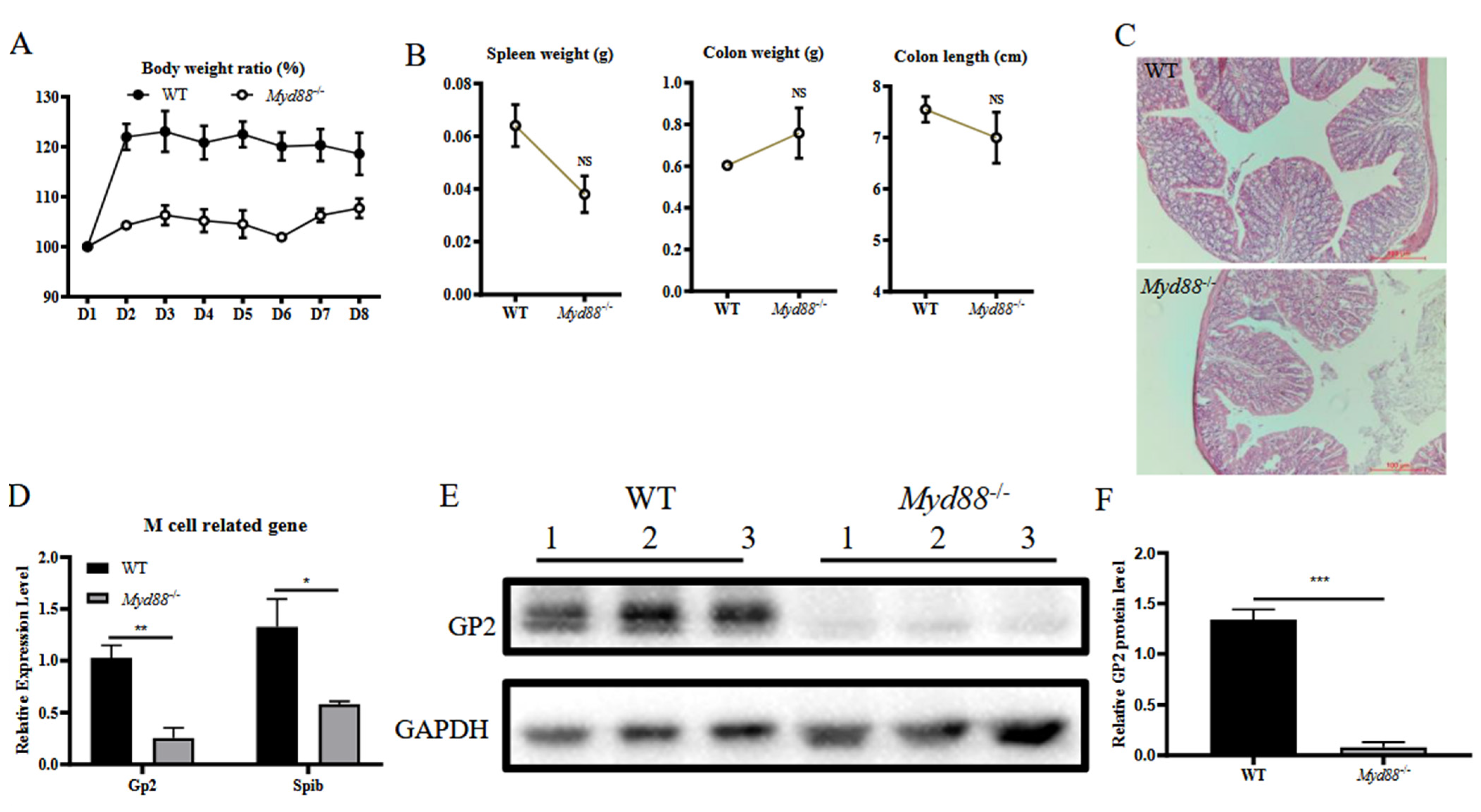 Vetsci 09 00006 g003 550