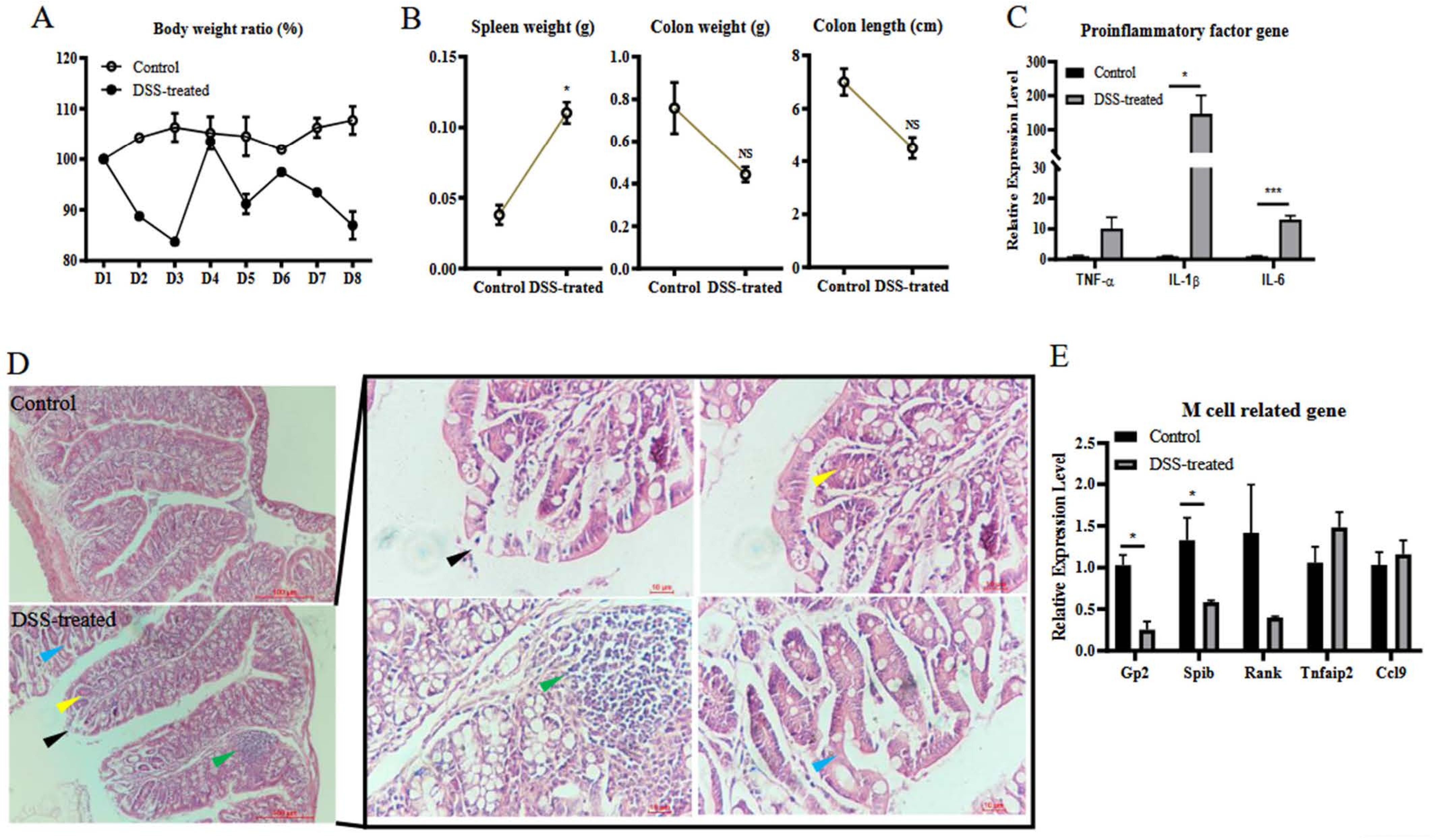 Vetsci 09 00006 g004 550