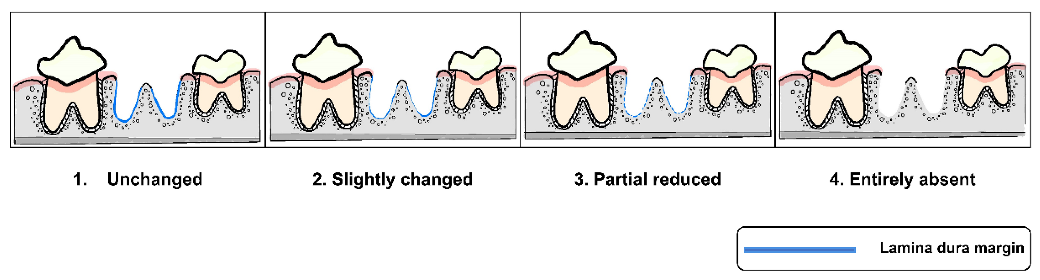 Vetsci 09 00007 g002 550