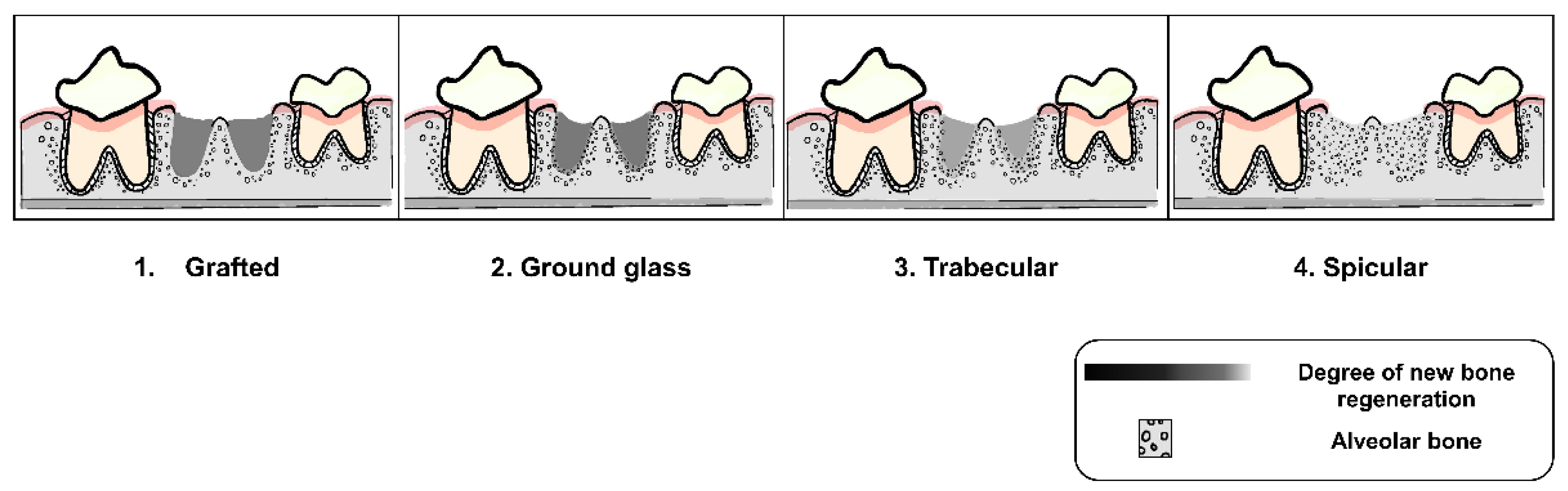 Vetsci 09 00007 g003 550