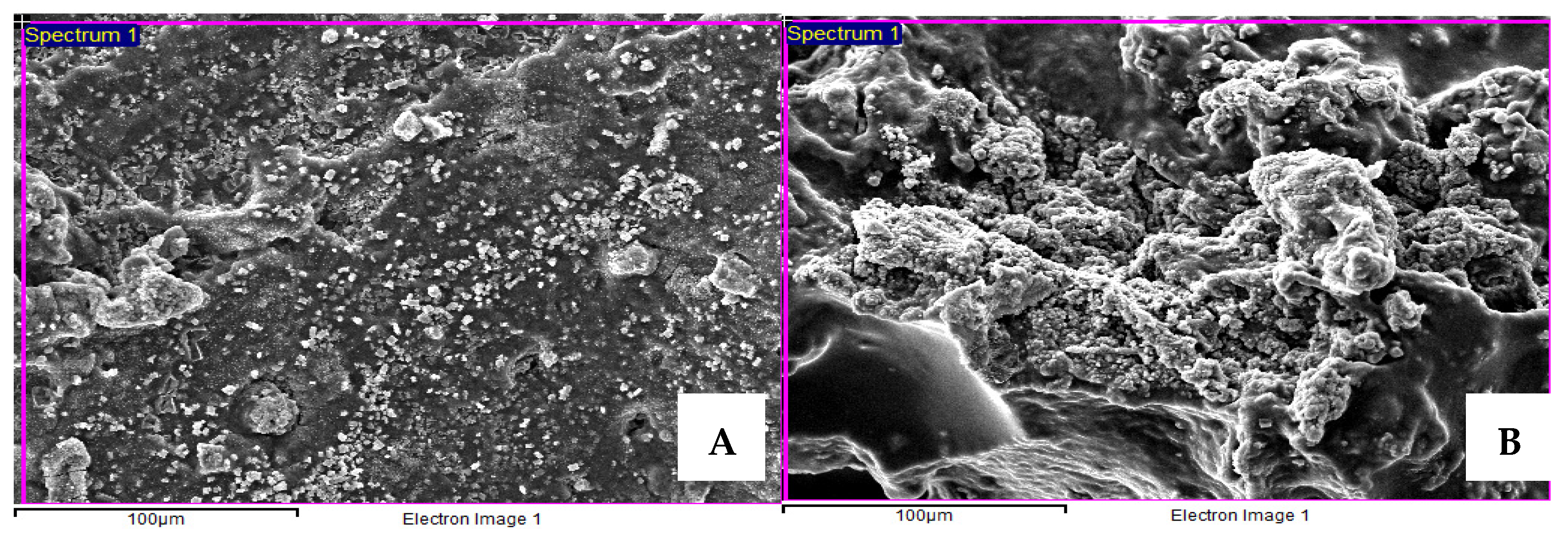 Vetsci 09 00007 g005 550