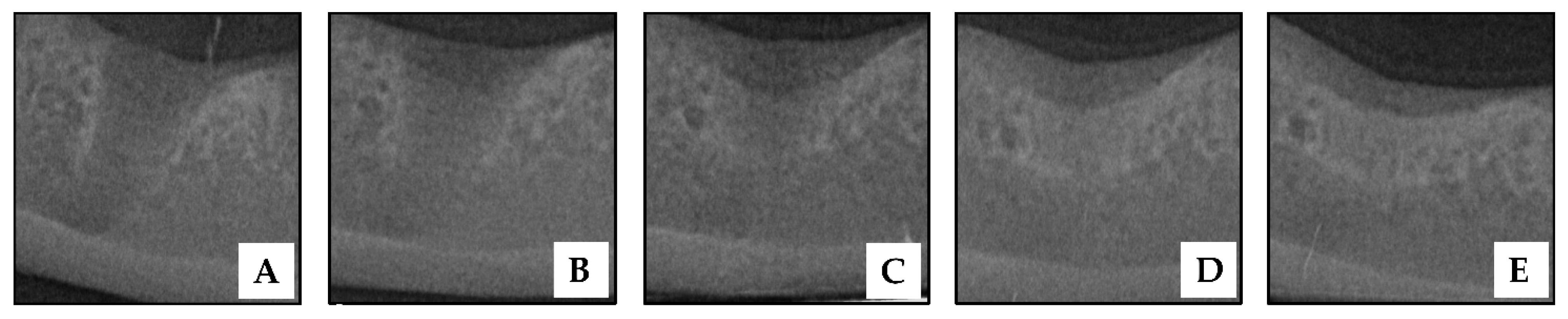 Vetsci 09 00007 g007 550