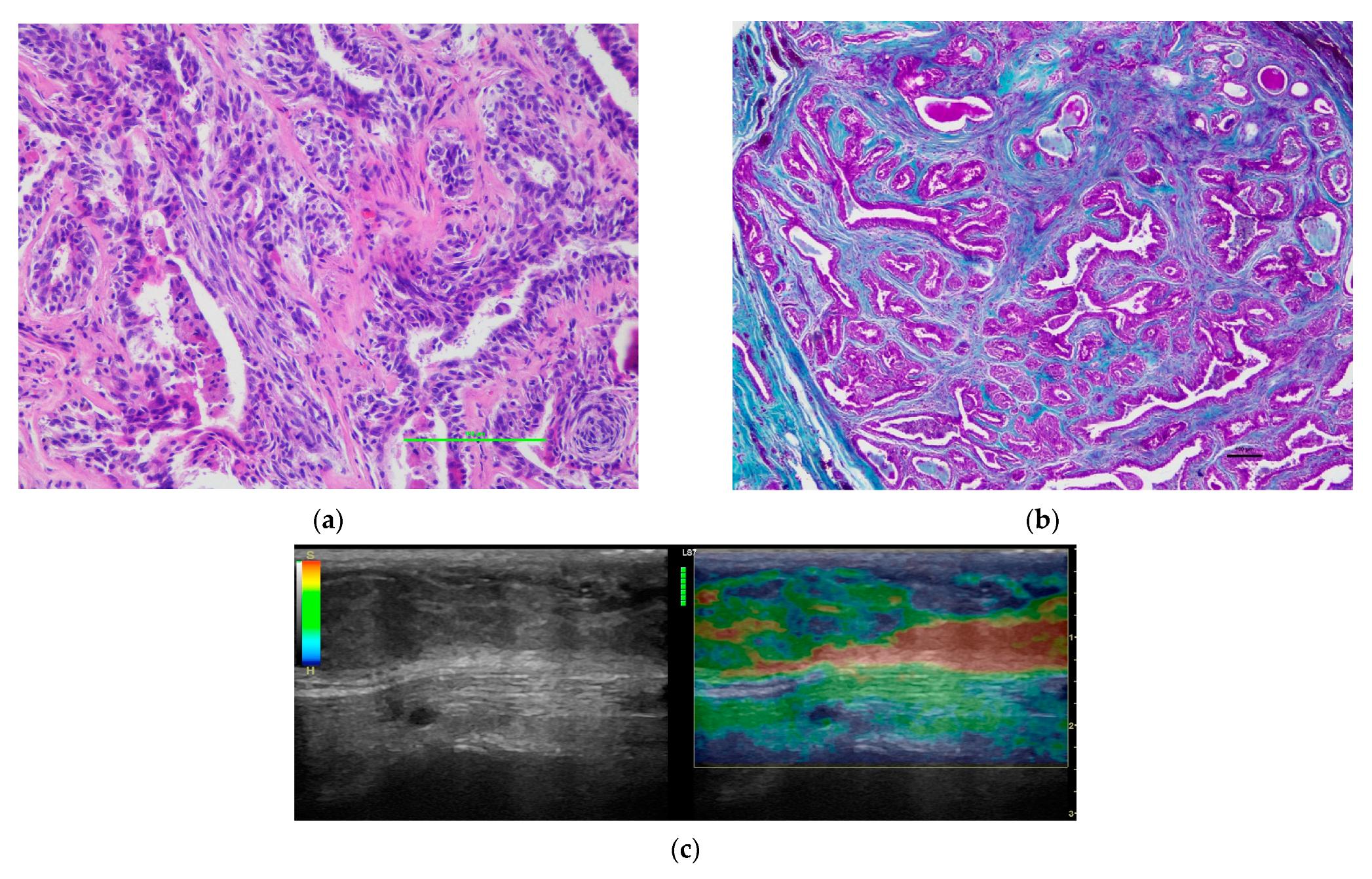 Vetsci 09 00009 g001 Vetsci 09 00009 g001