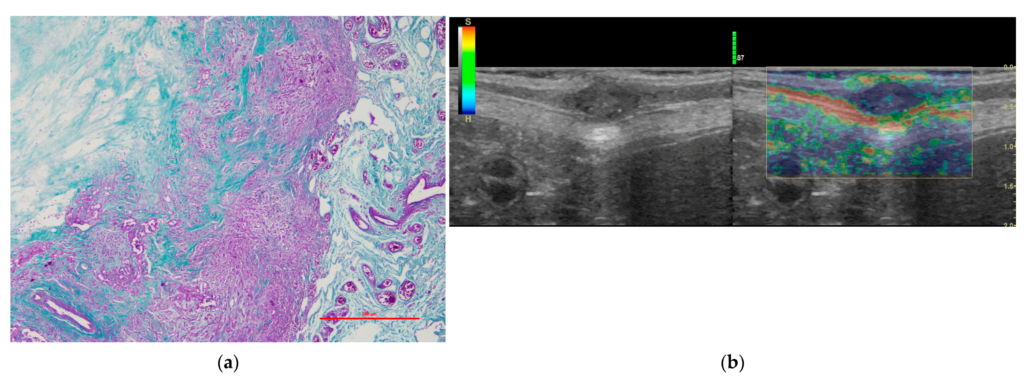 Vetsci 09 00009 g002 Vetsci 09 00009 g002