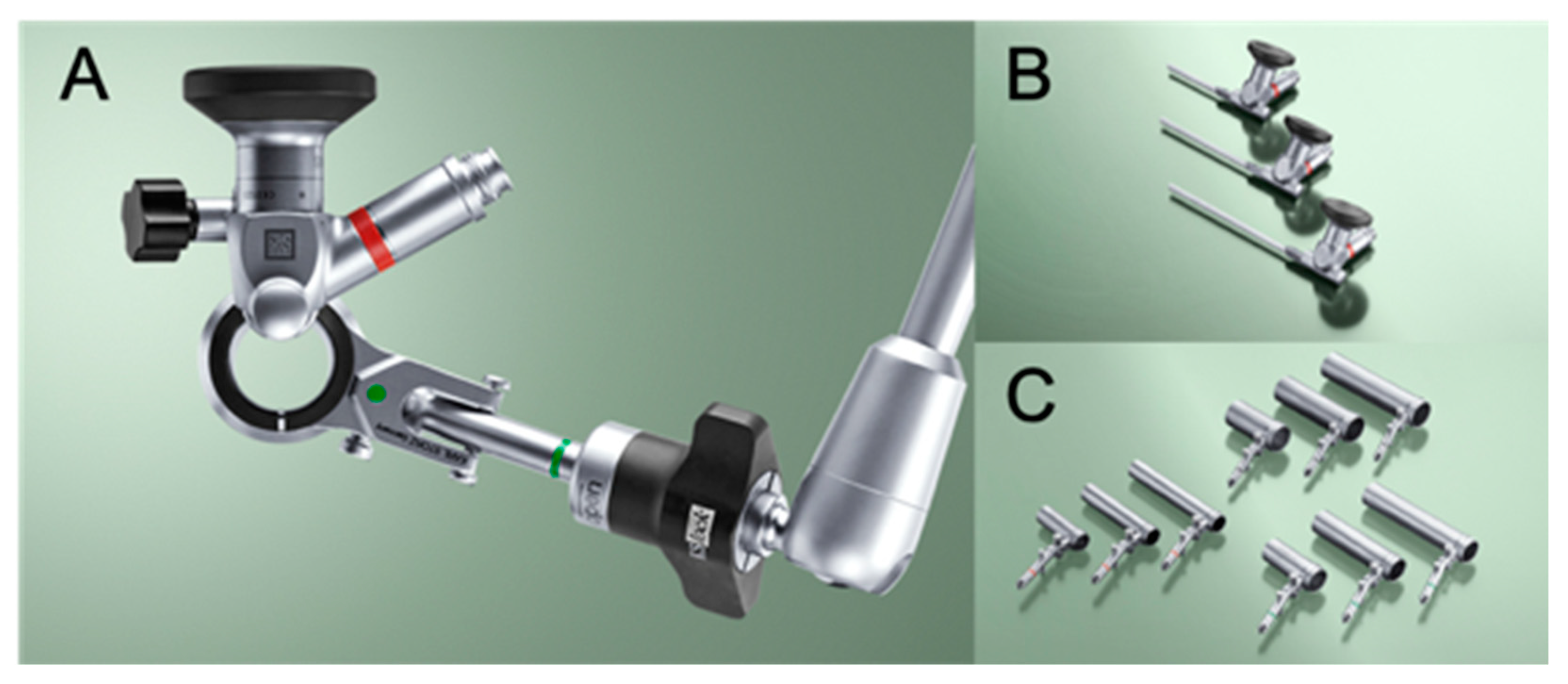 Vetsci 09 00018 g001 550