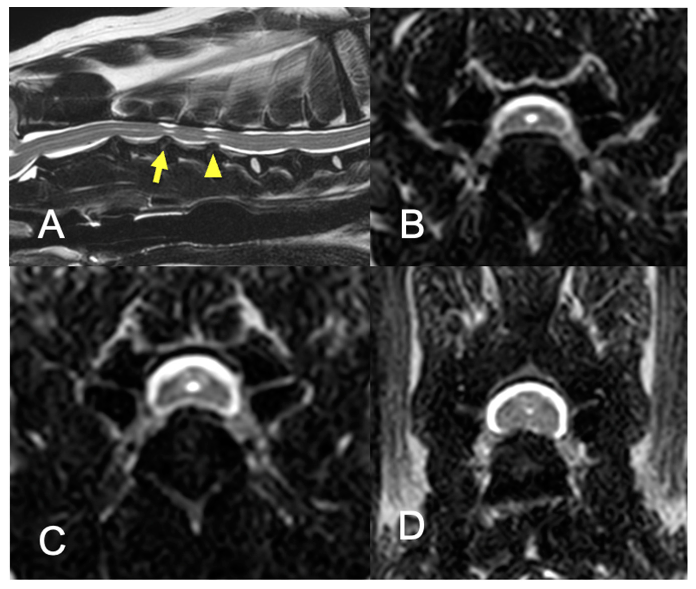 Vetsci 09 00018 g003 550