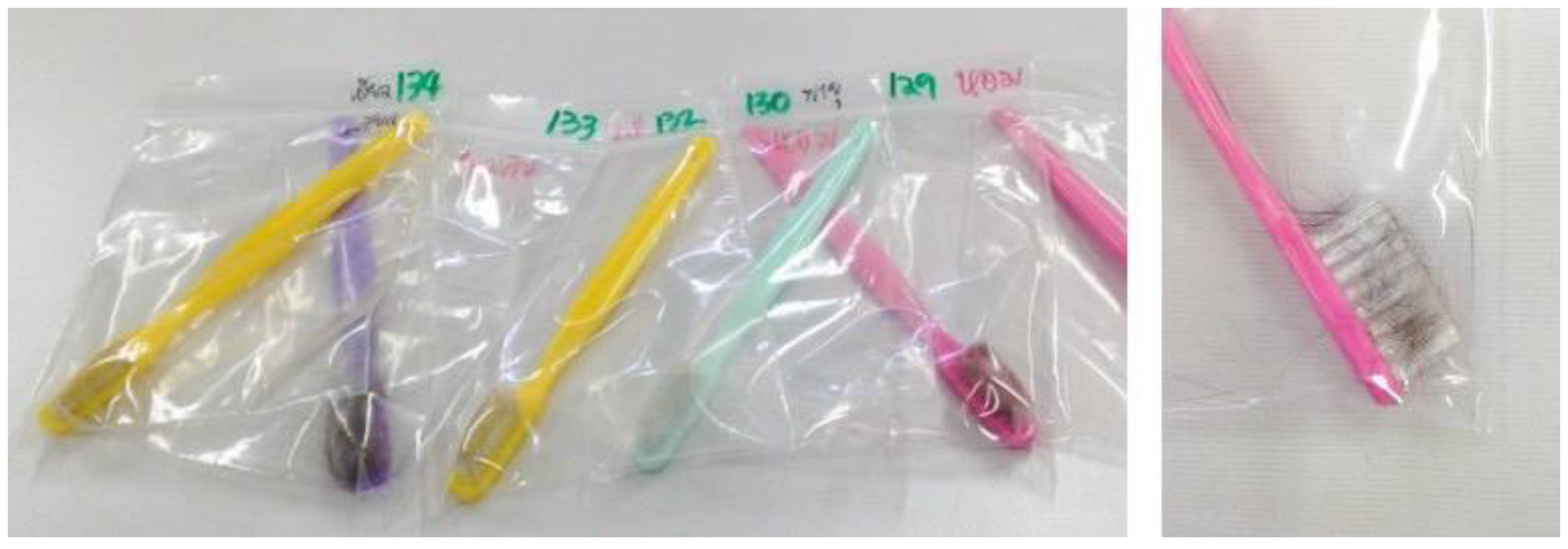 Vetsci 09 00021 g001 550