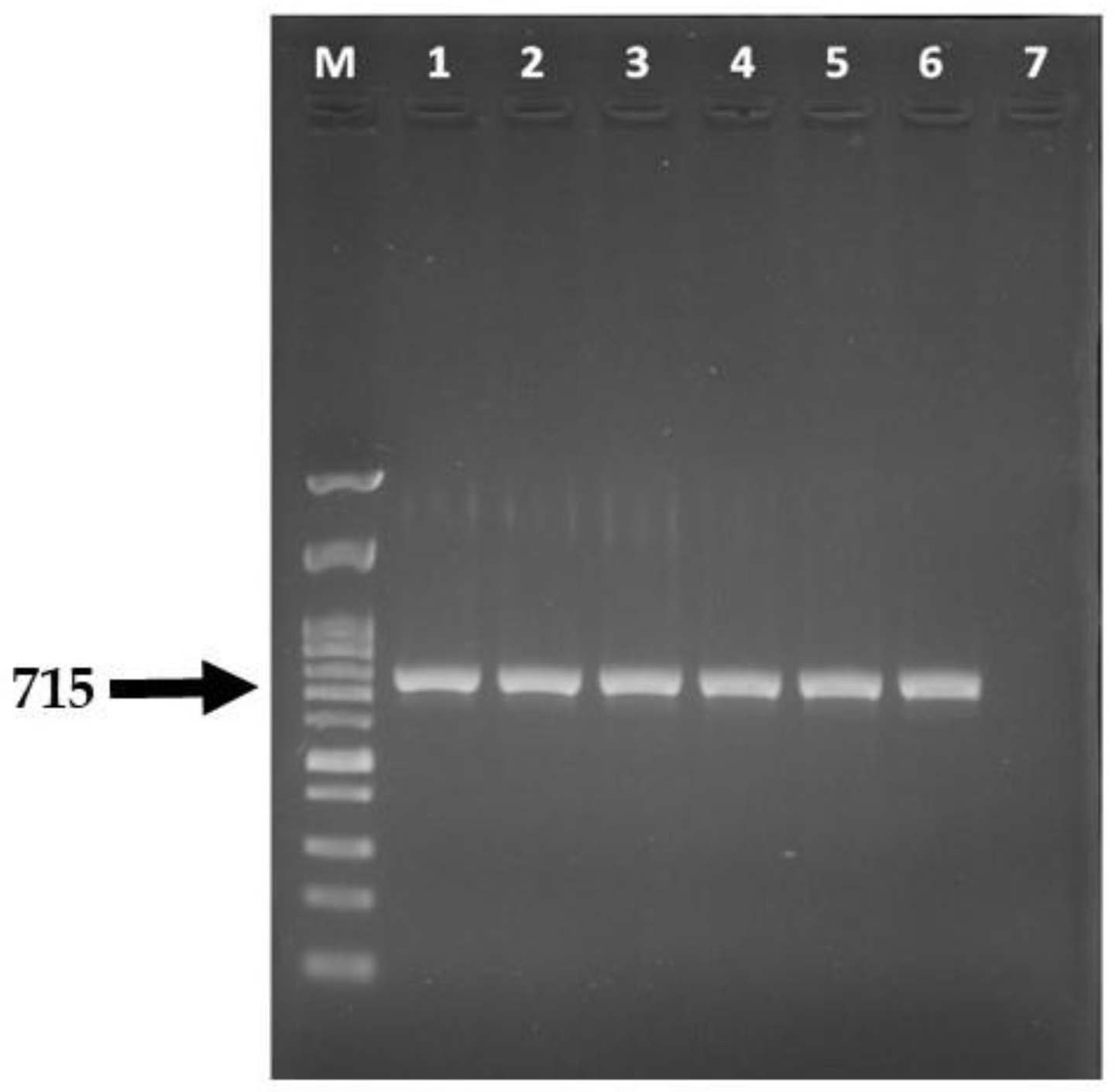 Vetsci 09 00021 g004 550