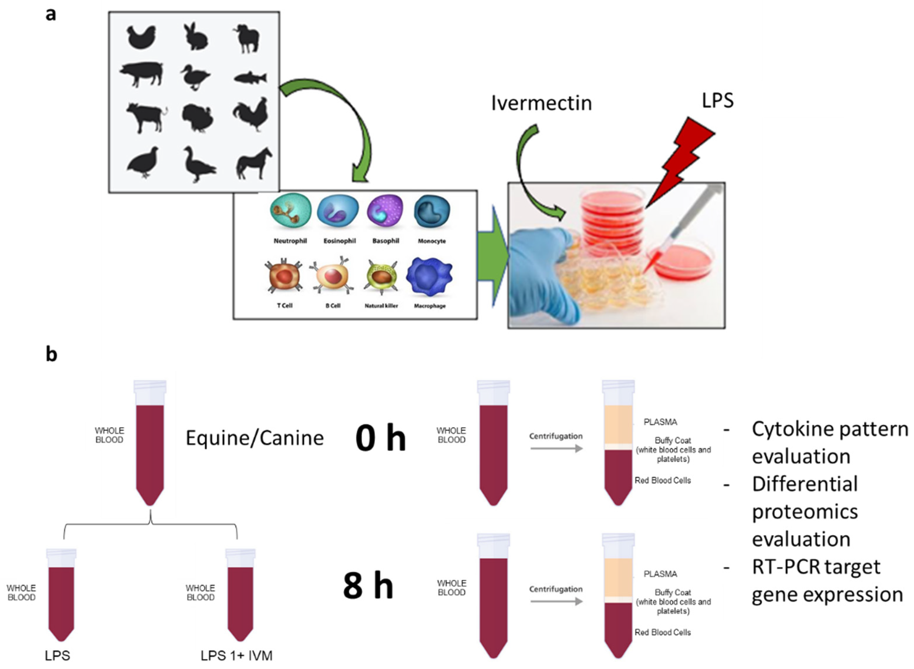 Vetsci 09 00024 g002 550