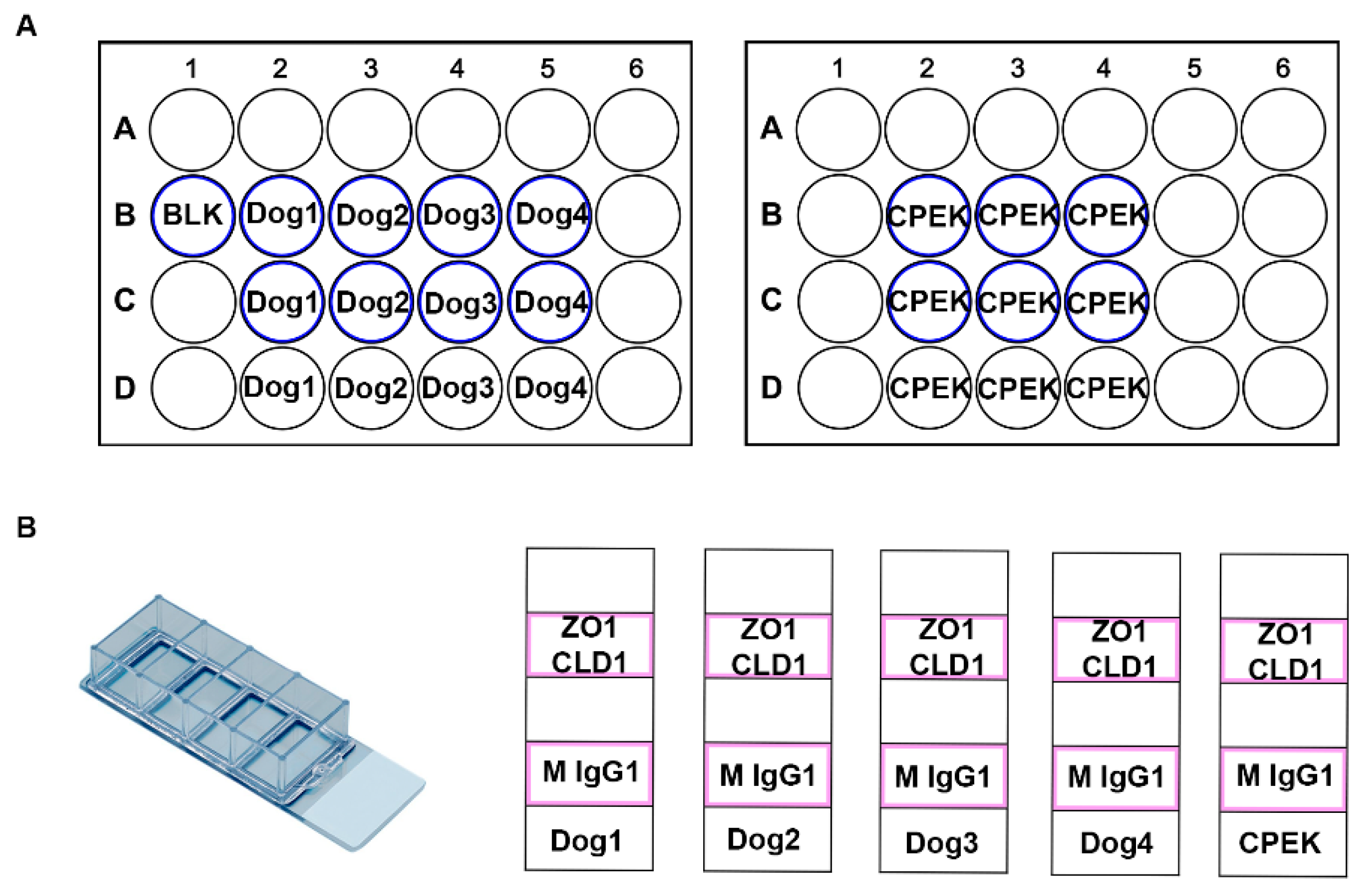 Vetsci 09 00025 g001 550