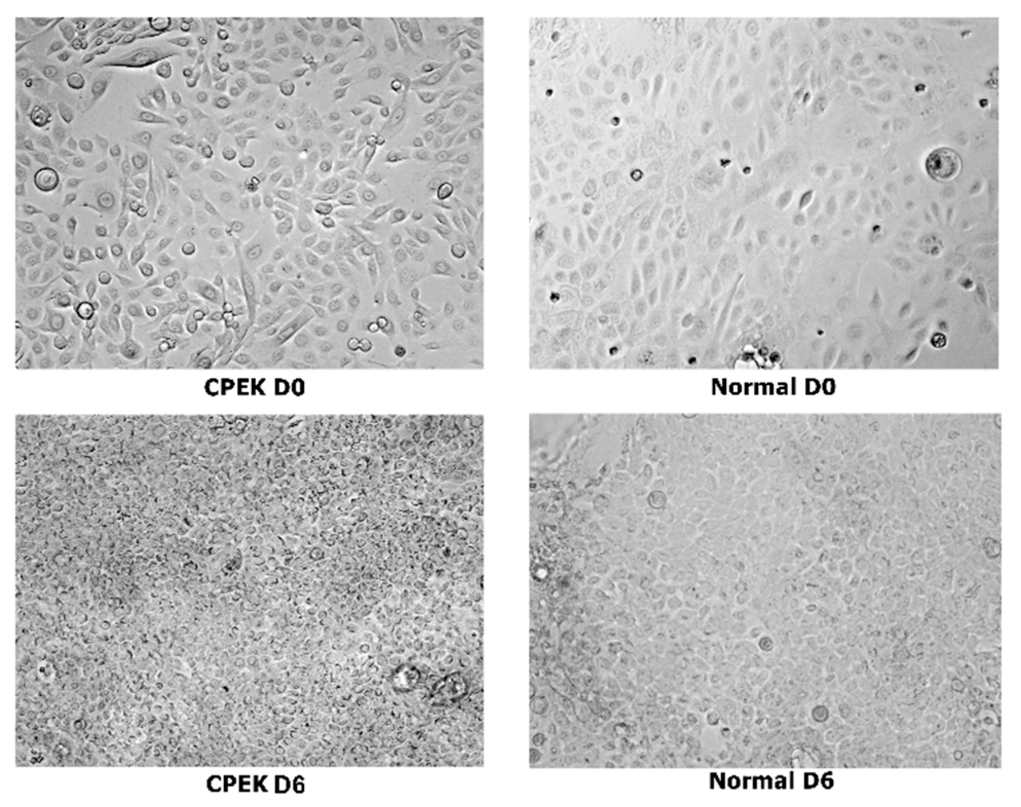 Vetsci 09 00025 g003 550