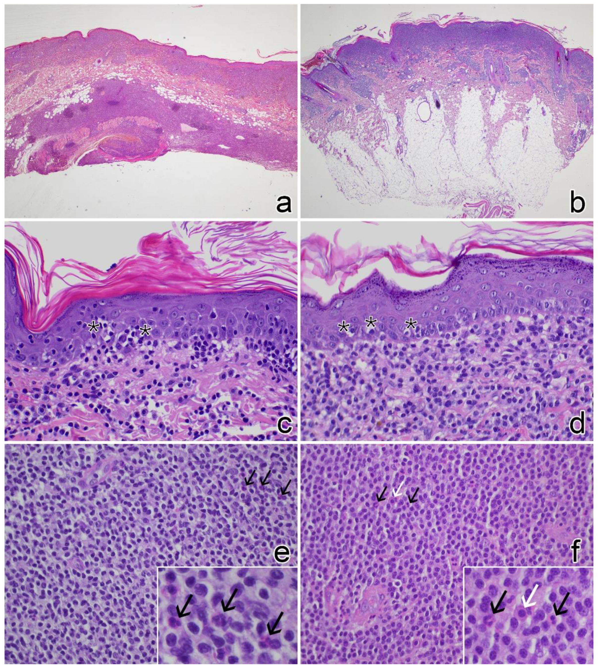 Vetsci 09 00026 g003 550