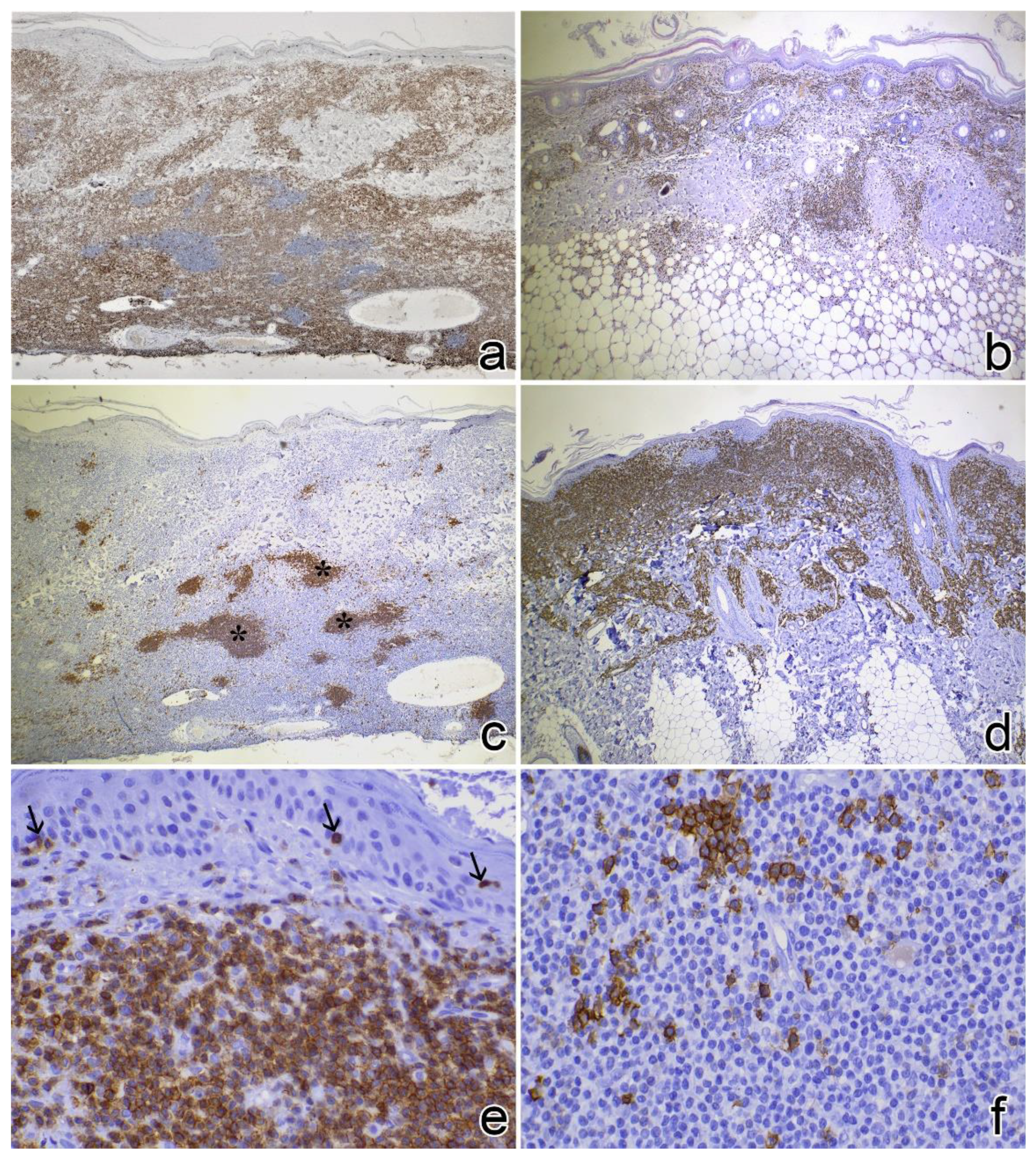 Vetsci 09 00026 g004 550