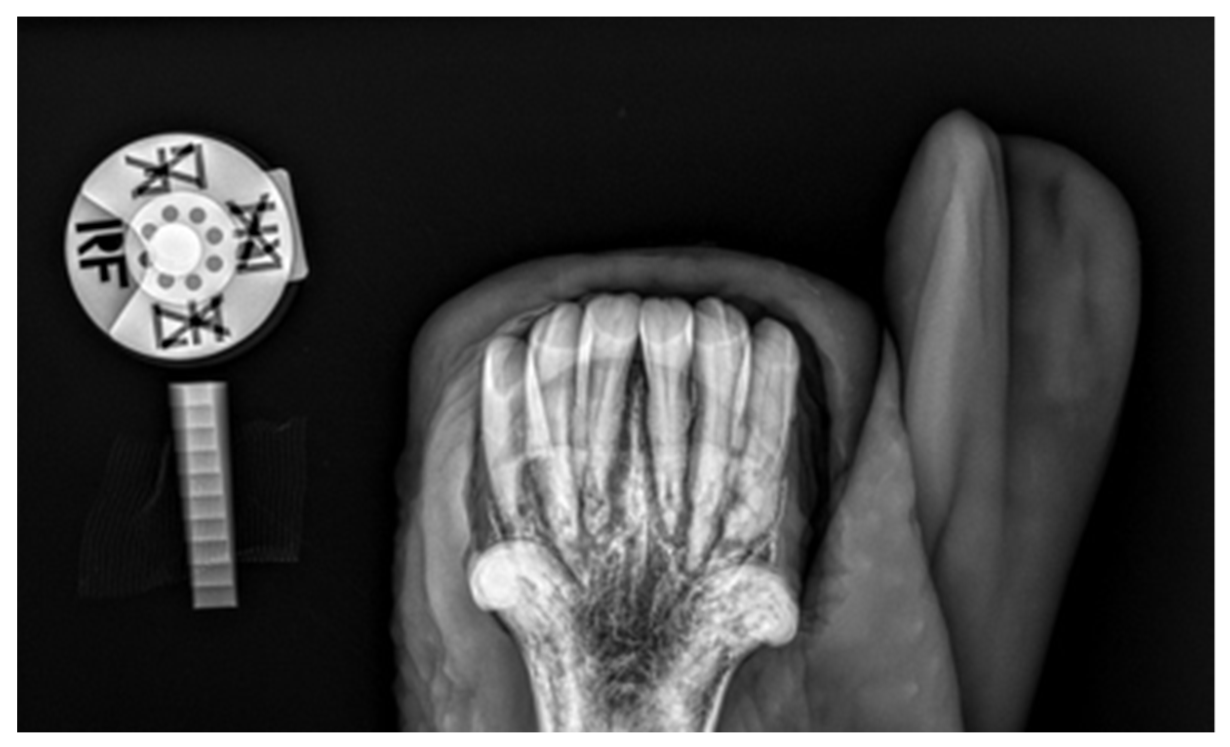 Vetsci 09 00030 g004 550