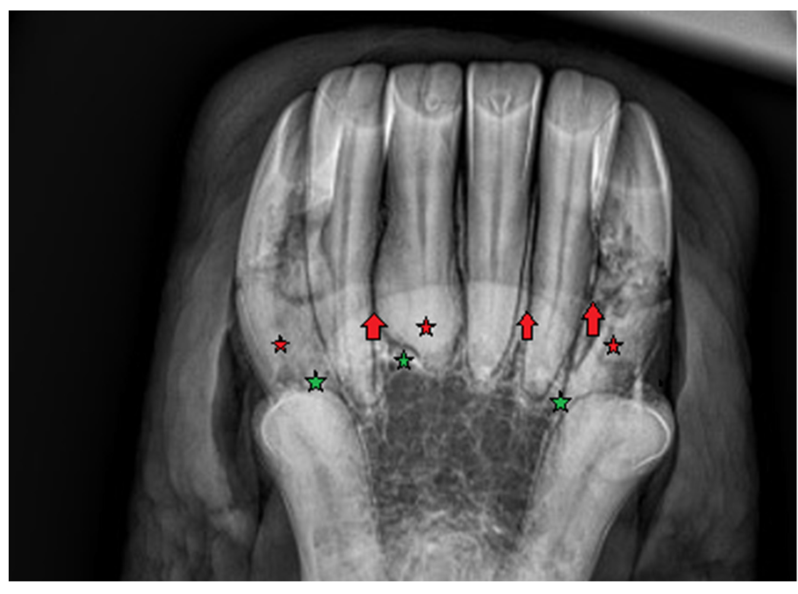 Vetsci 09 00030 g008 550