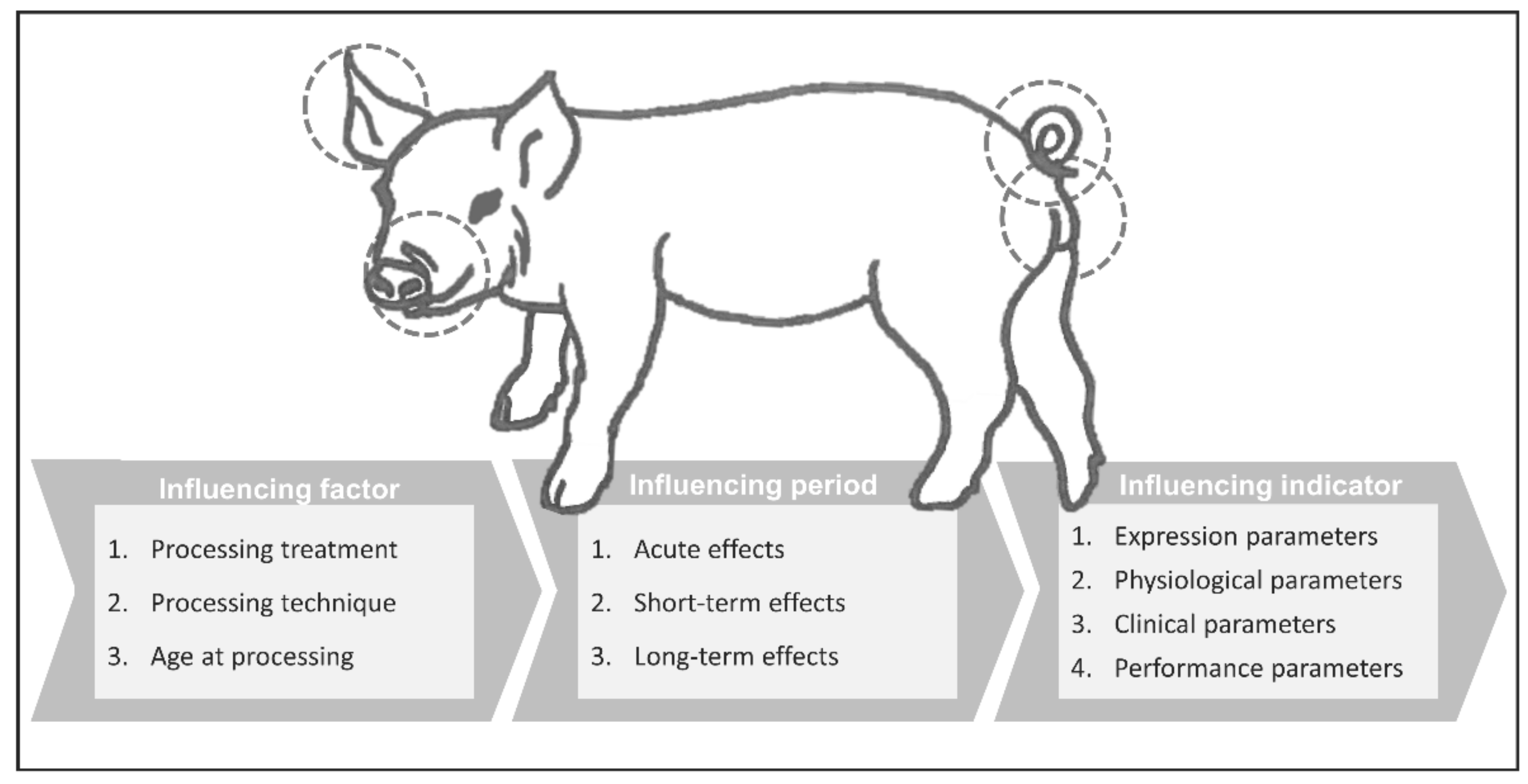 Vetsci 09 00032 g002