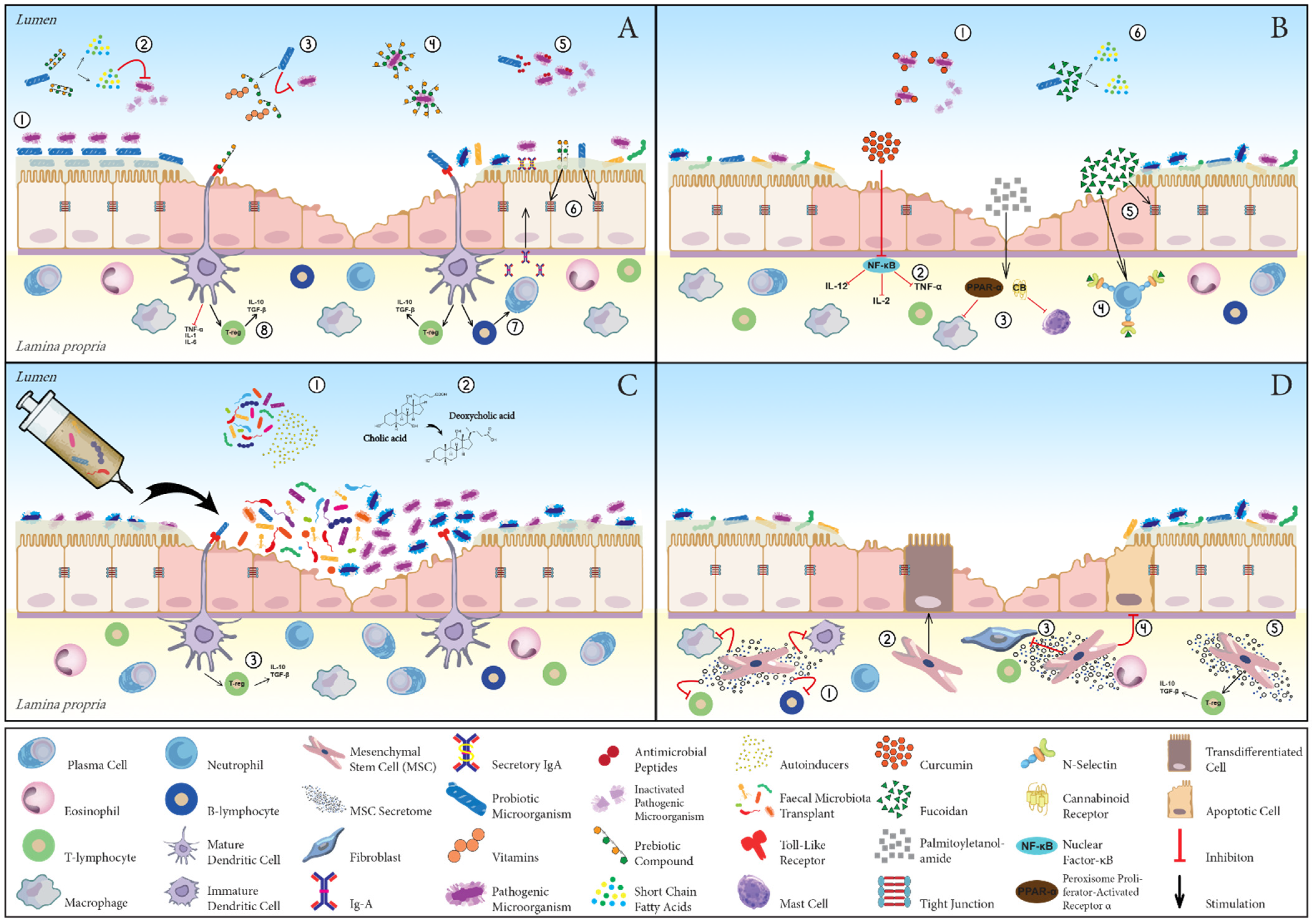 Vetsci 09 00037 g001 Vetsci 09 00037 g001