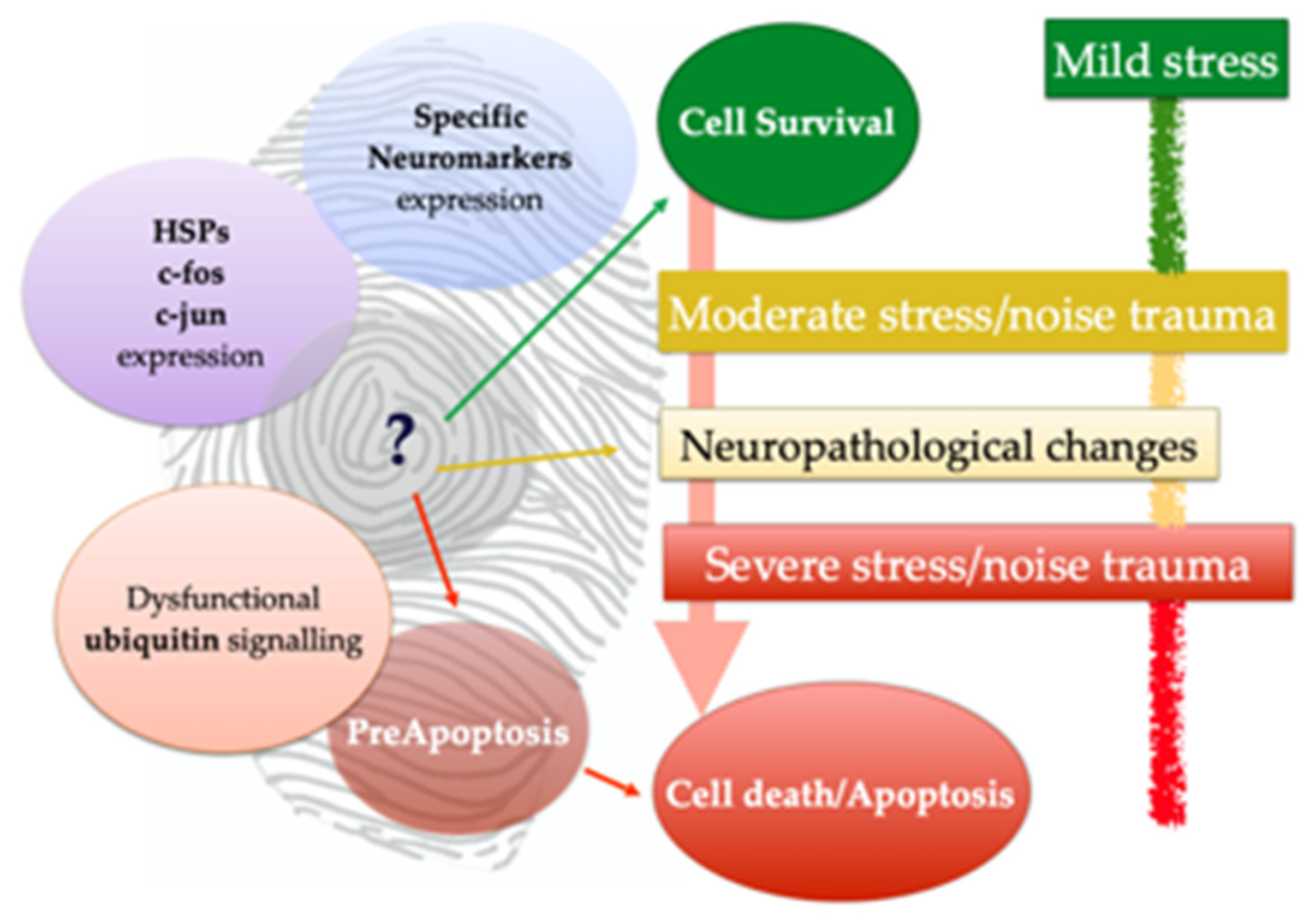 Vetsci 09 00038 g005