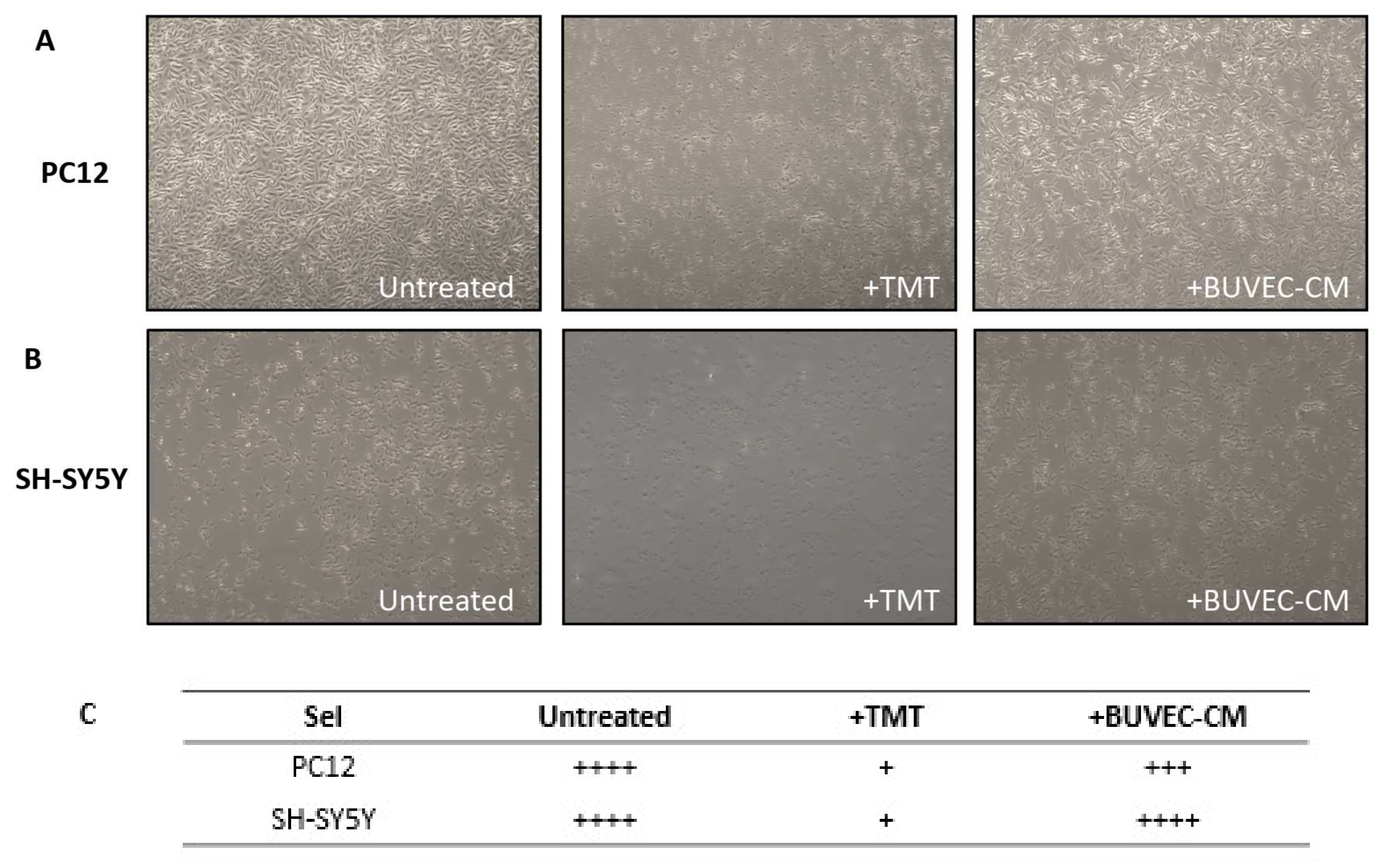 Vetsci 09 00048 g001
