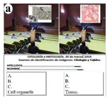 Vetsci 09 00051 i001