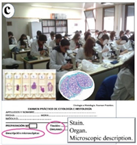 Vetsci 09 00051 i004