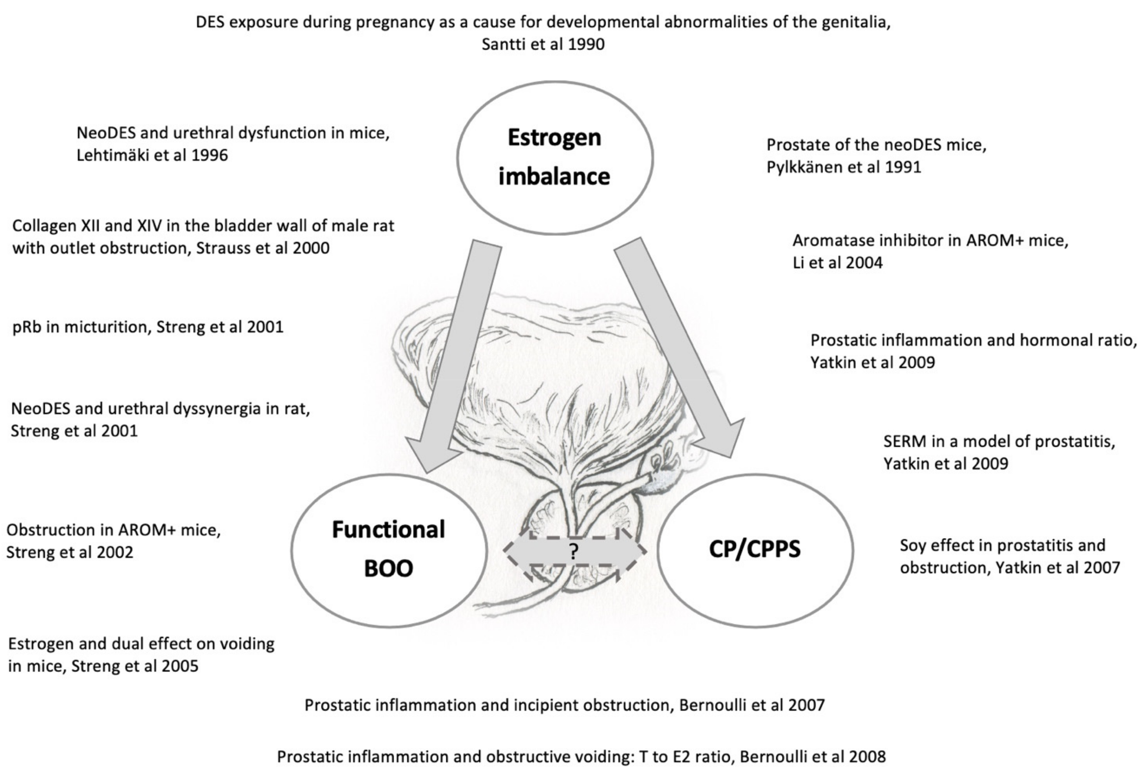 Vetsci 09 00060 g001