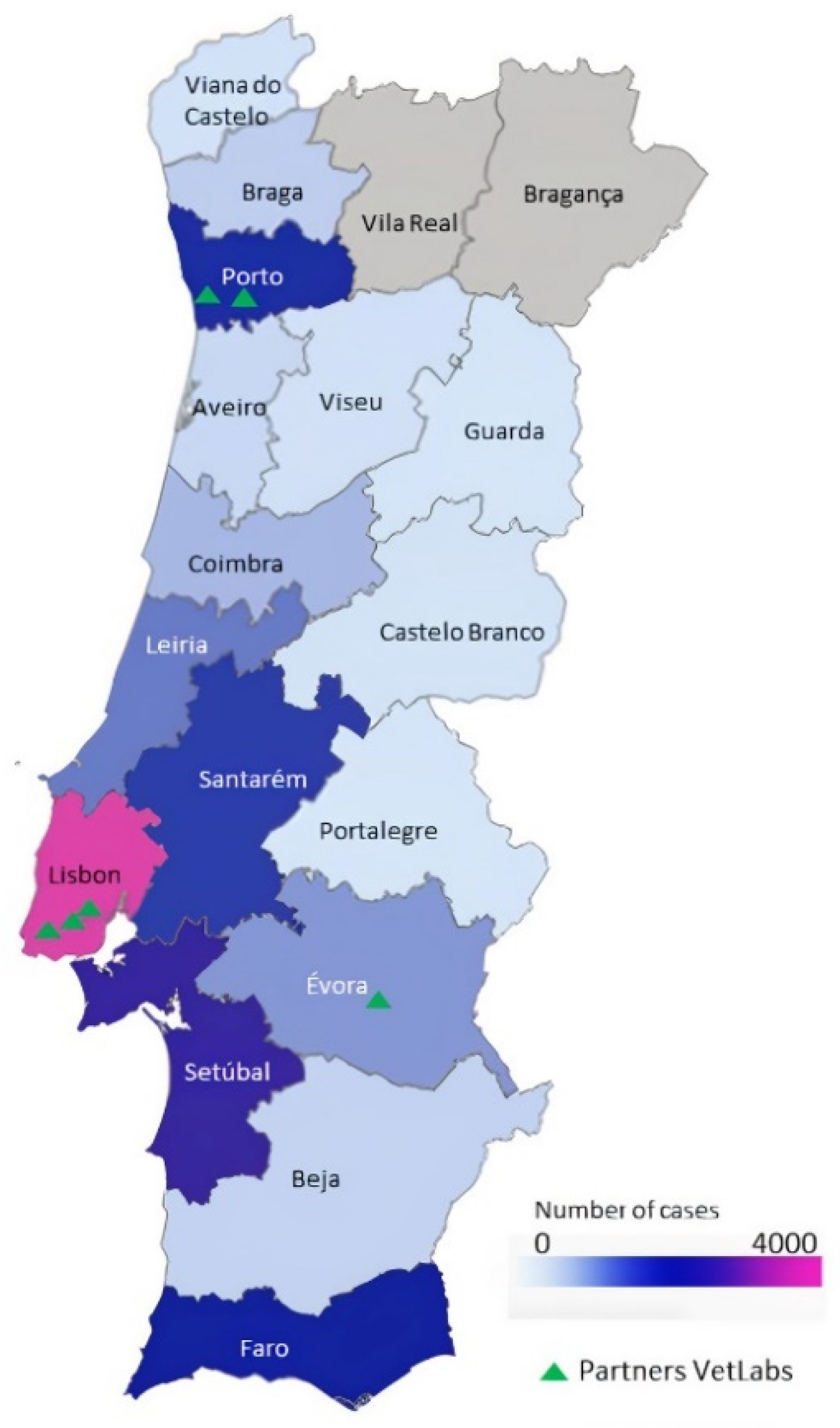 Vetsci 09 00072 g002 550