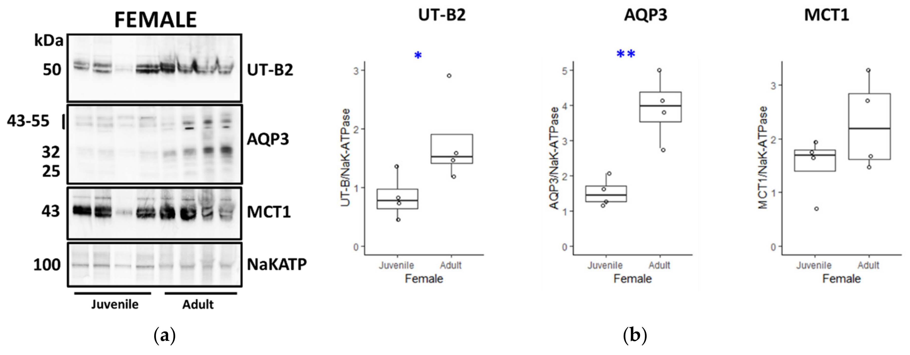 Vetsci 09 00073 g006