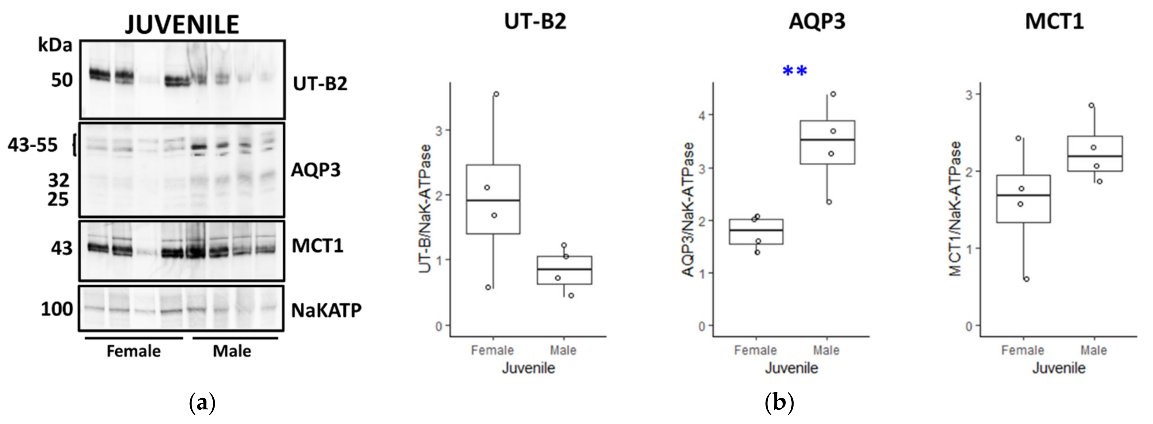 Vetsci 09 00073 g008