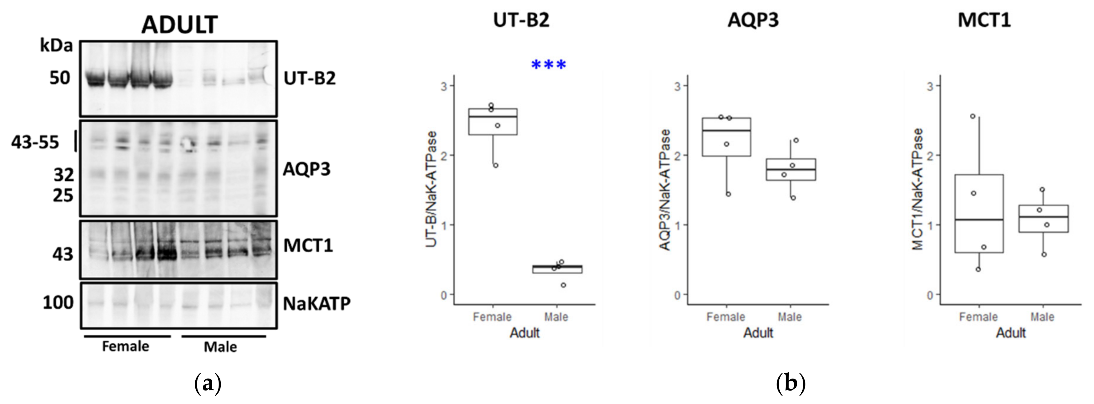 Vetsci 09 00073 g009