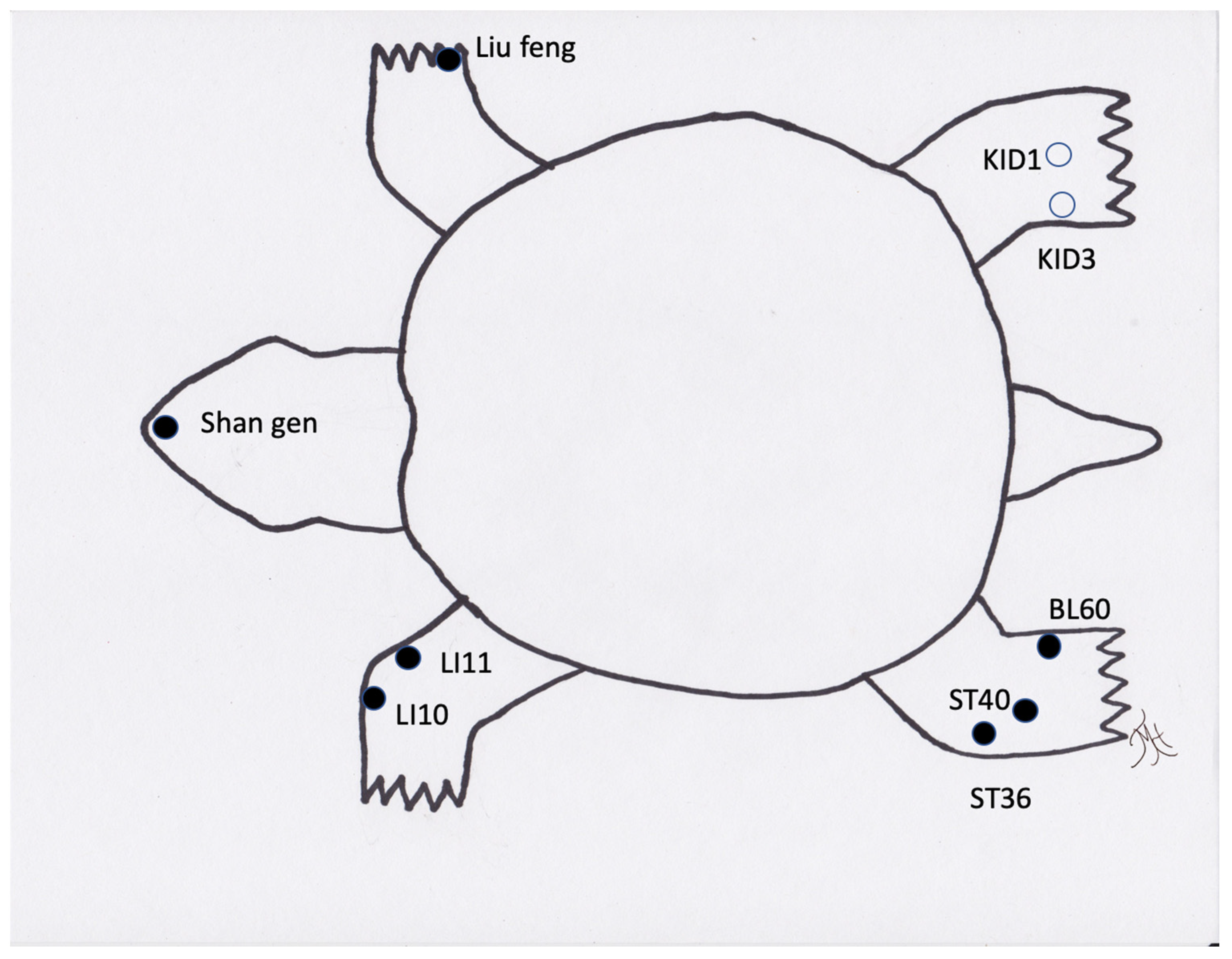 Vetsci 09 00074 g002