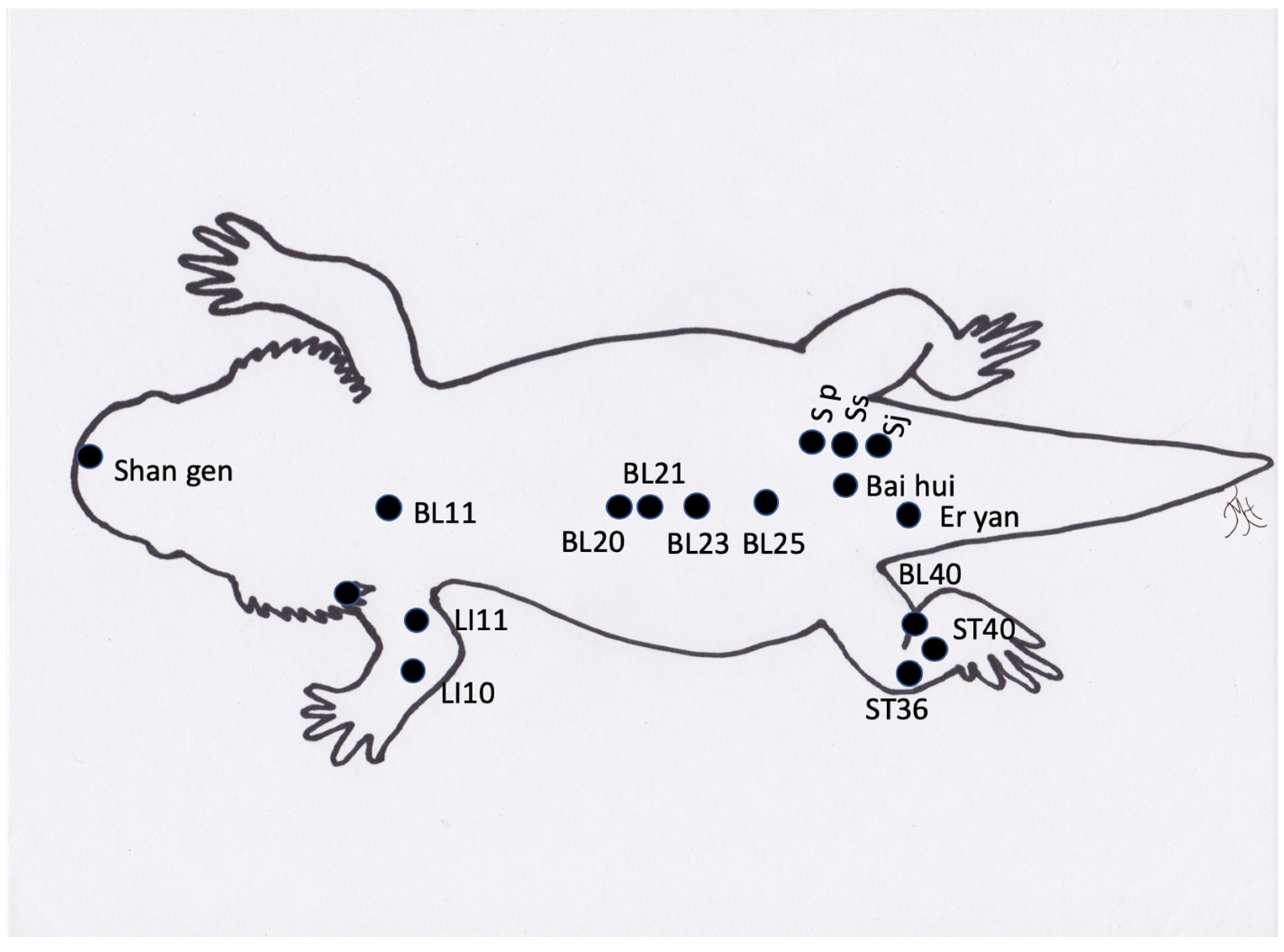 Vetsci 09 00074 g004
