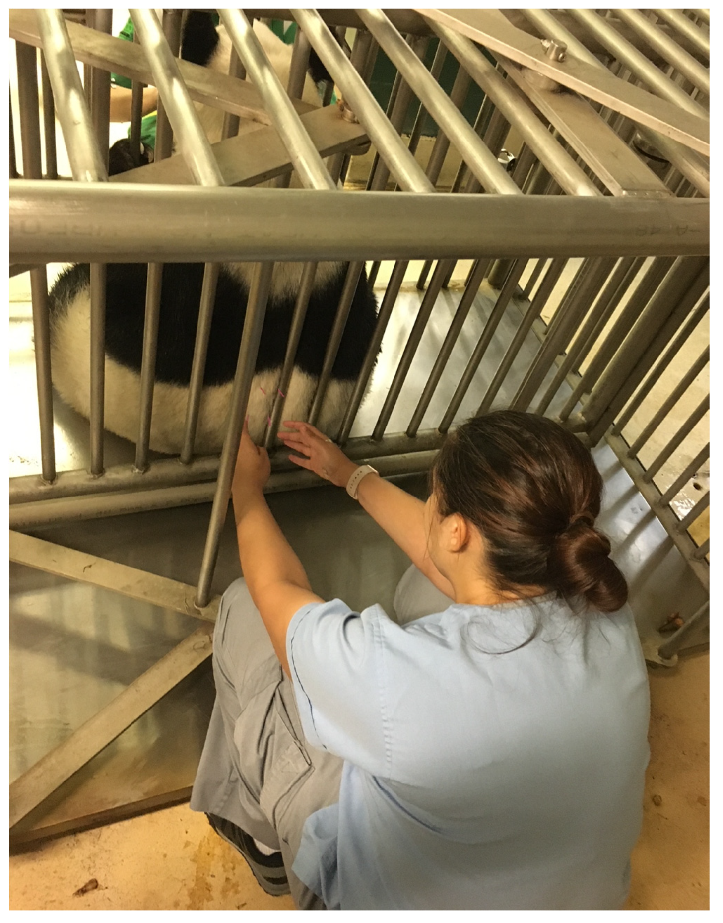 Vetsci 09 00074 g010