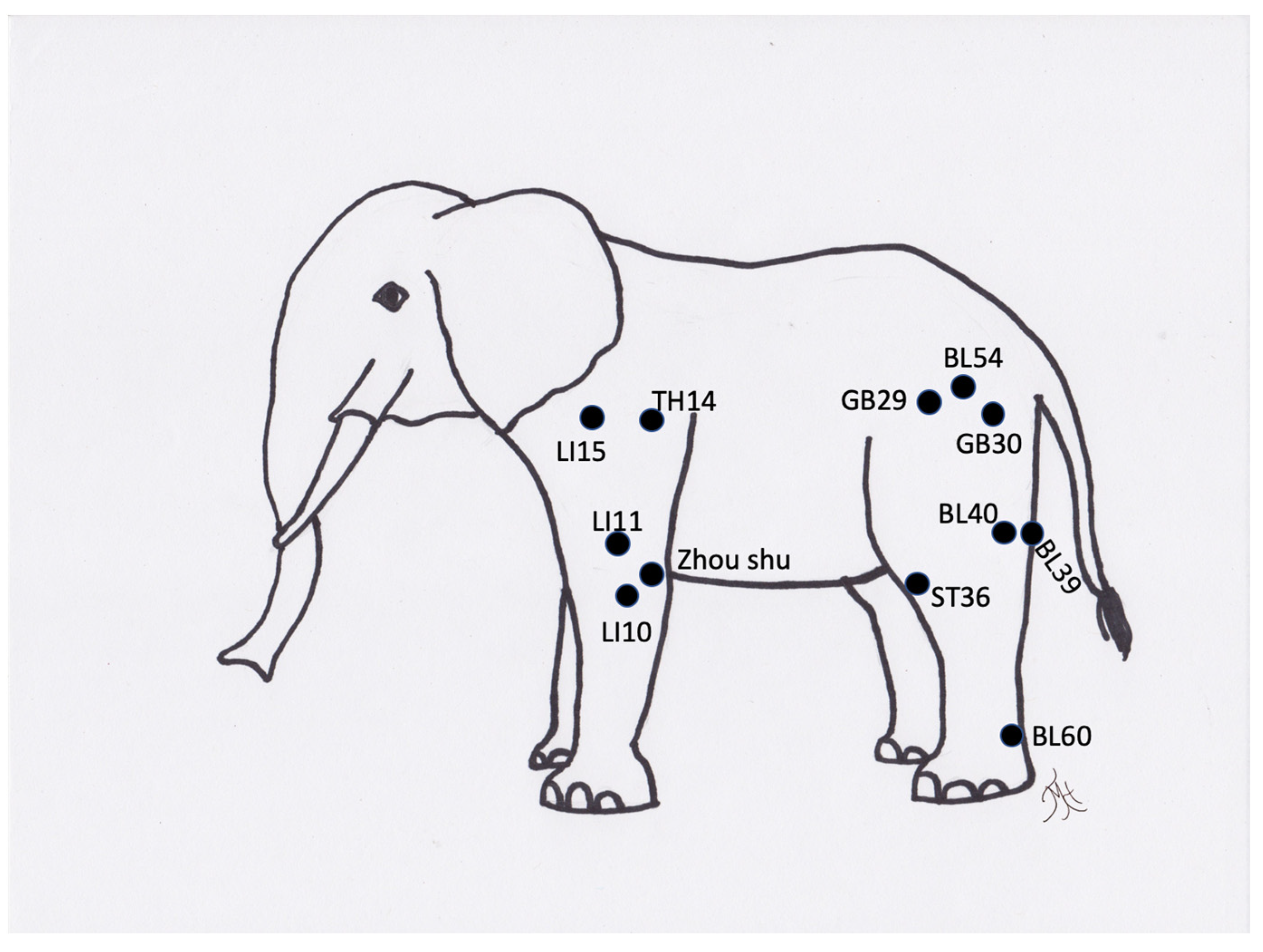 Vetsci 09 00074 g011