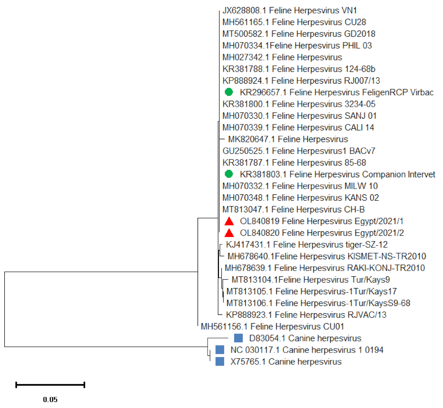 Vetsci 09 00081 g003
