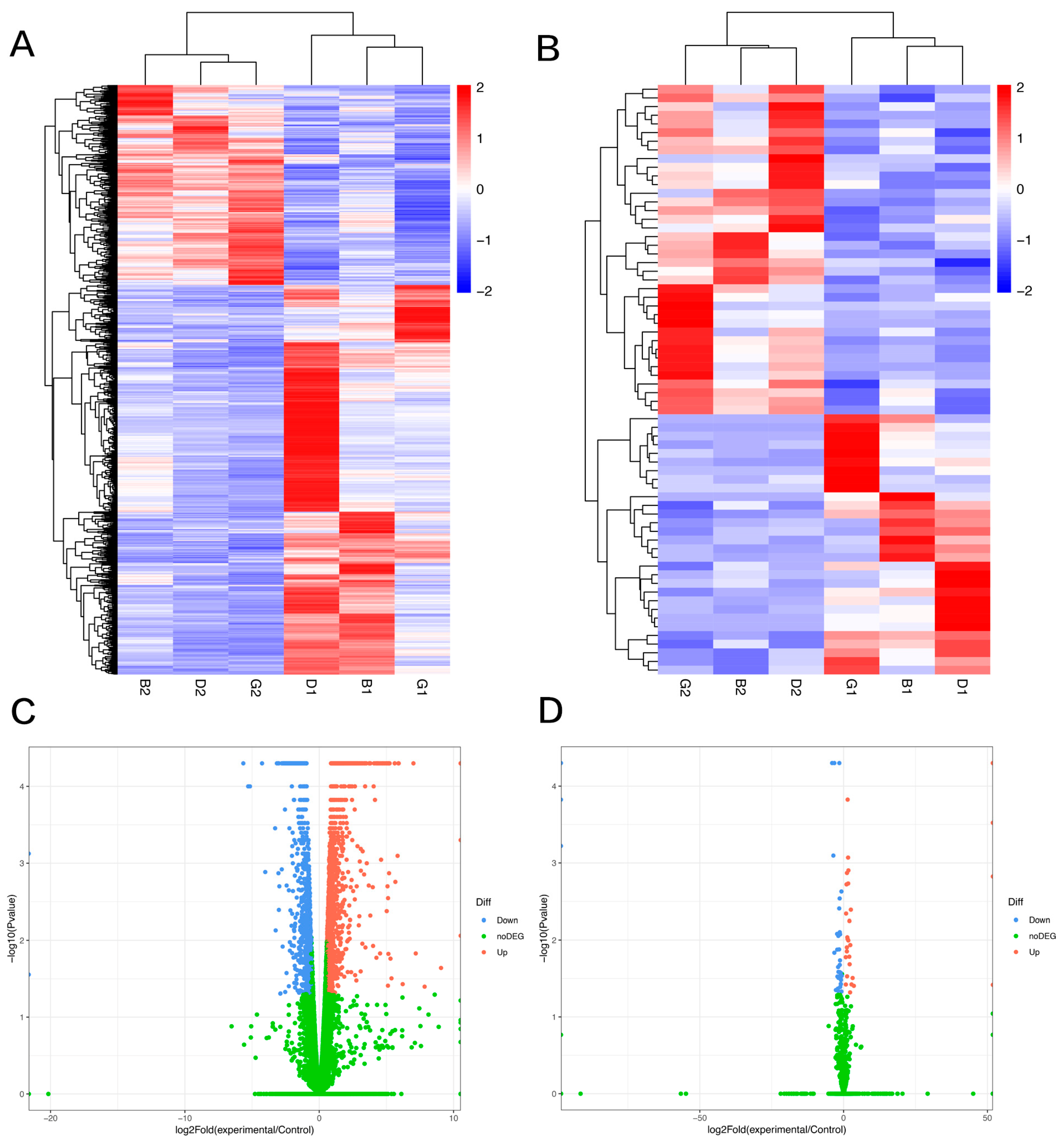 Vetsci 09 00082 g001 Vetsci 09 00082 g001