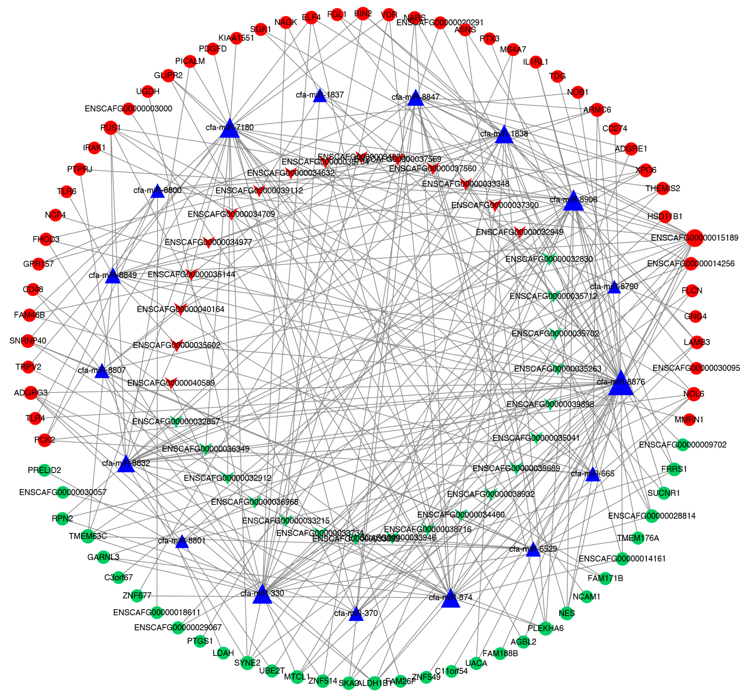 Vetsci 09 00082 g004 Vetsci 09 00082 g004