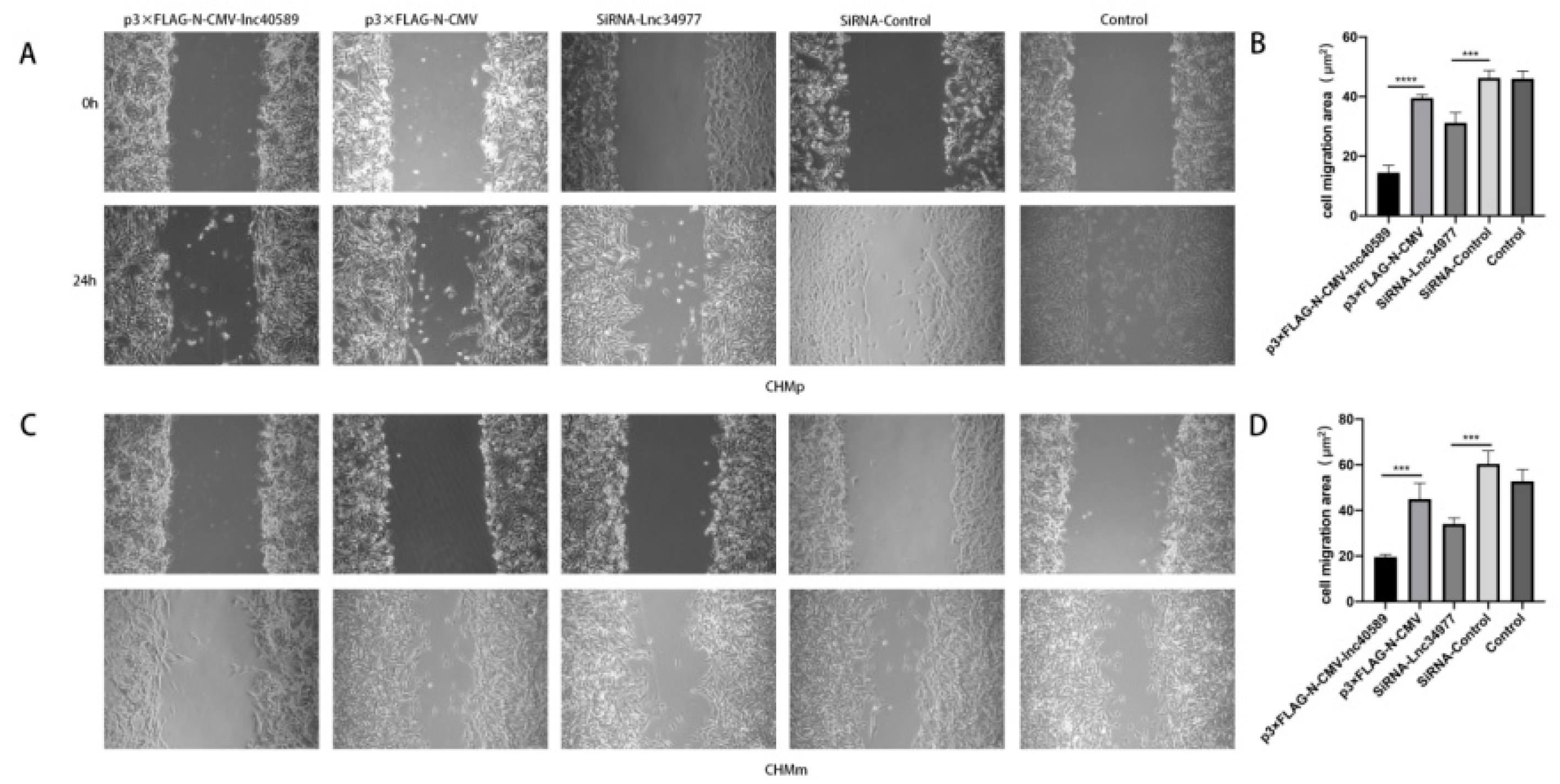 Vetsci 09 00082 g009 Vetsci 09 00082 g009