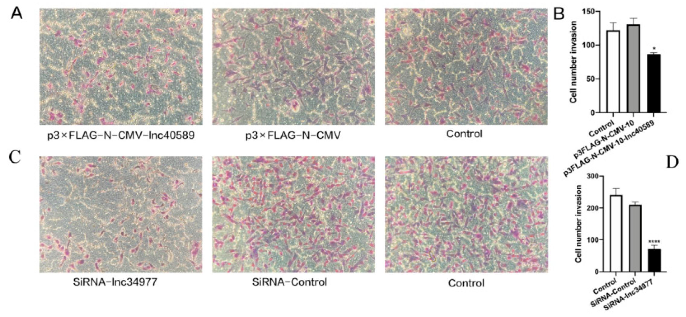Vetsci 09 00082 g010 Vetsci 09 00082 g010